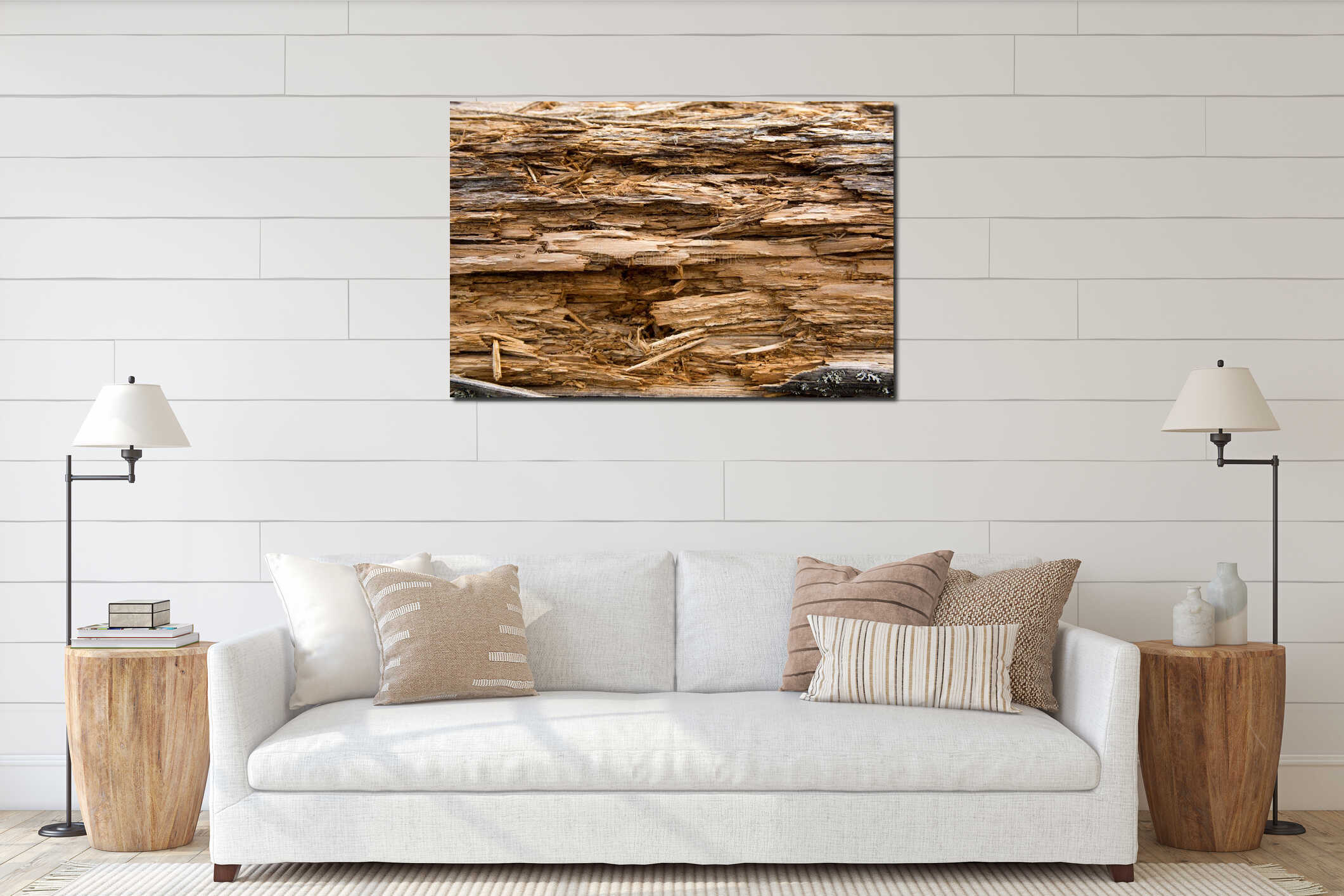 Texture of a rotten old tree interior mockup