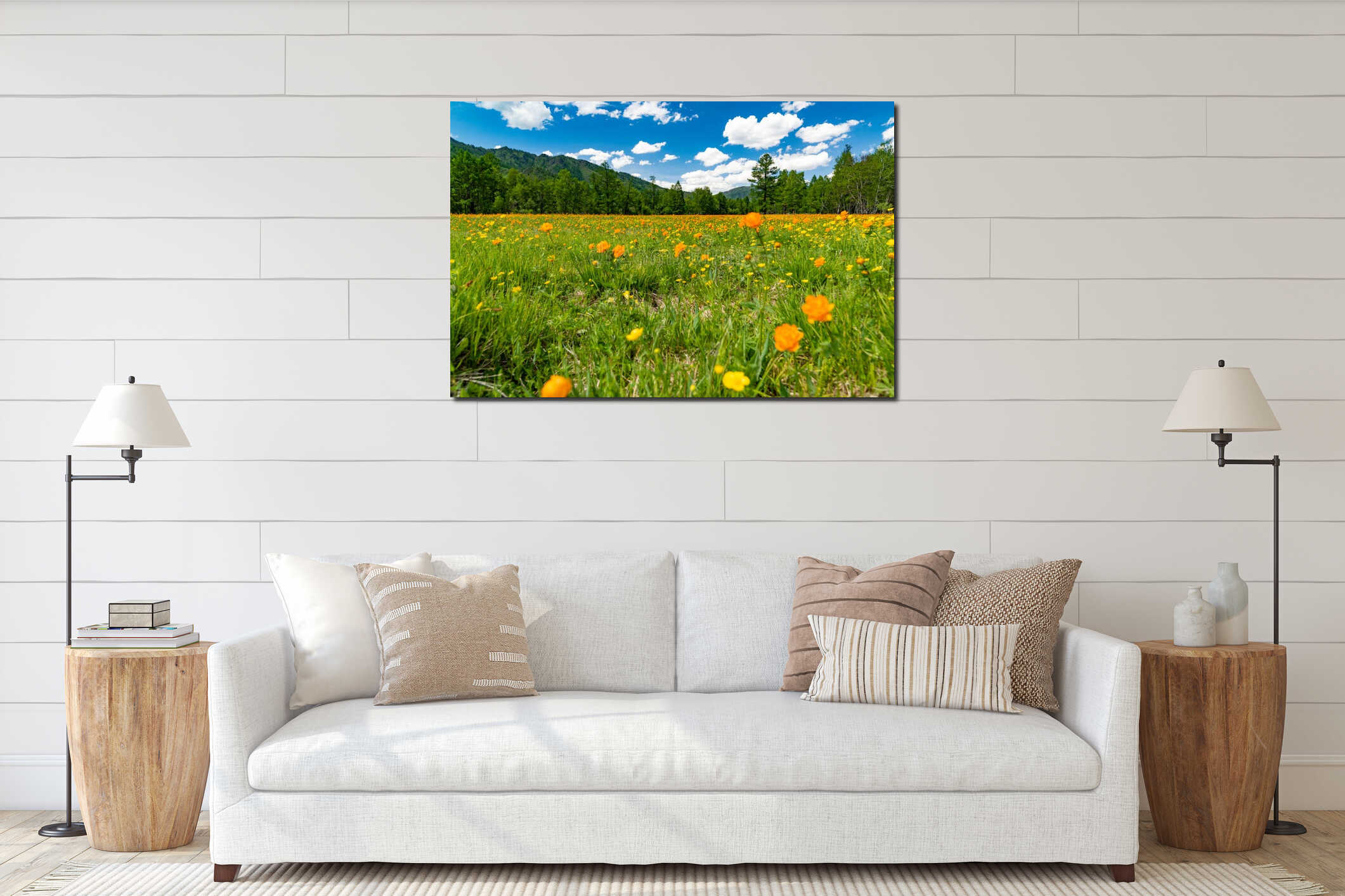 A wide angle field of orange flowers Trollius asiaticus against interior mockup