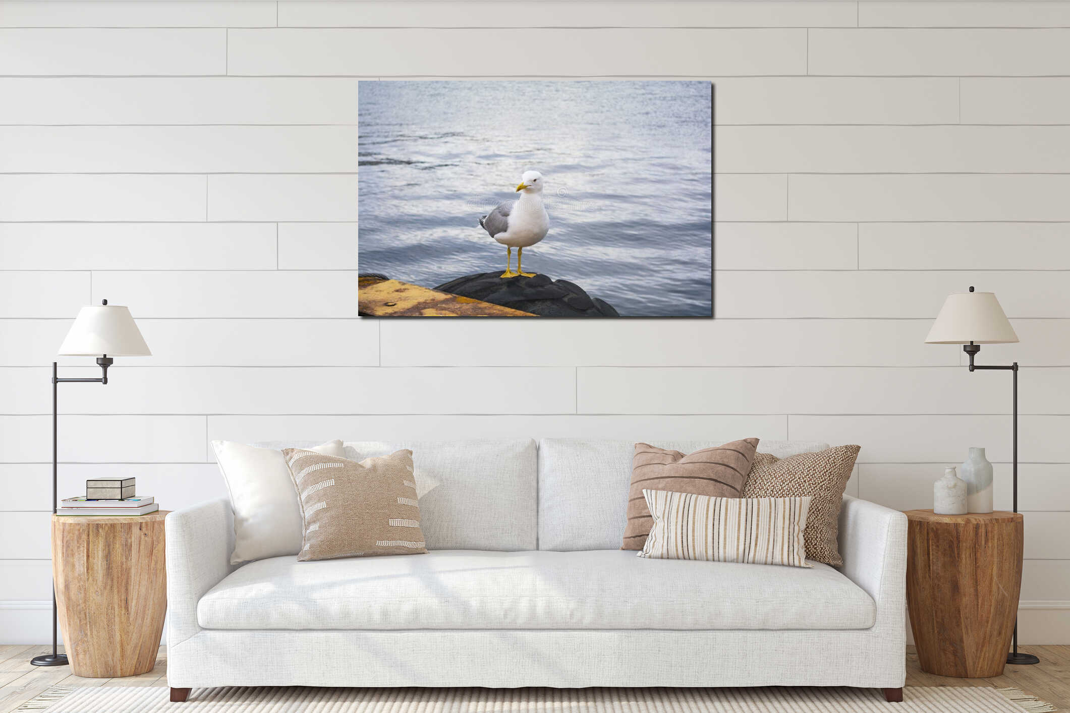 seagull by the beach against natural blue water background. Standing Seagull - A close-up front side view of a seagull standing on interior mockup