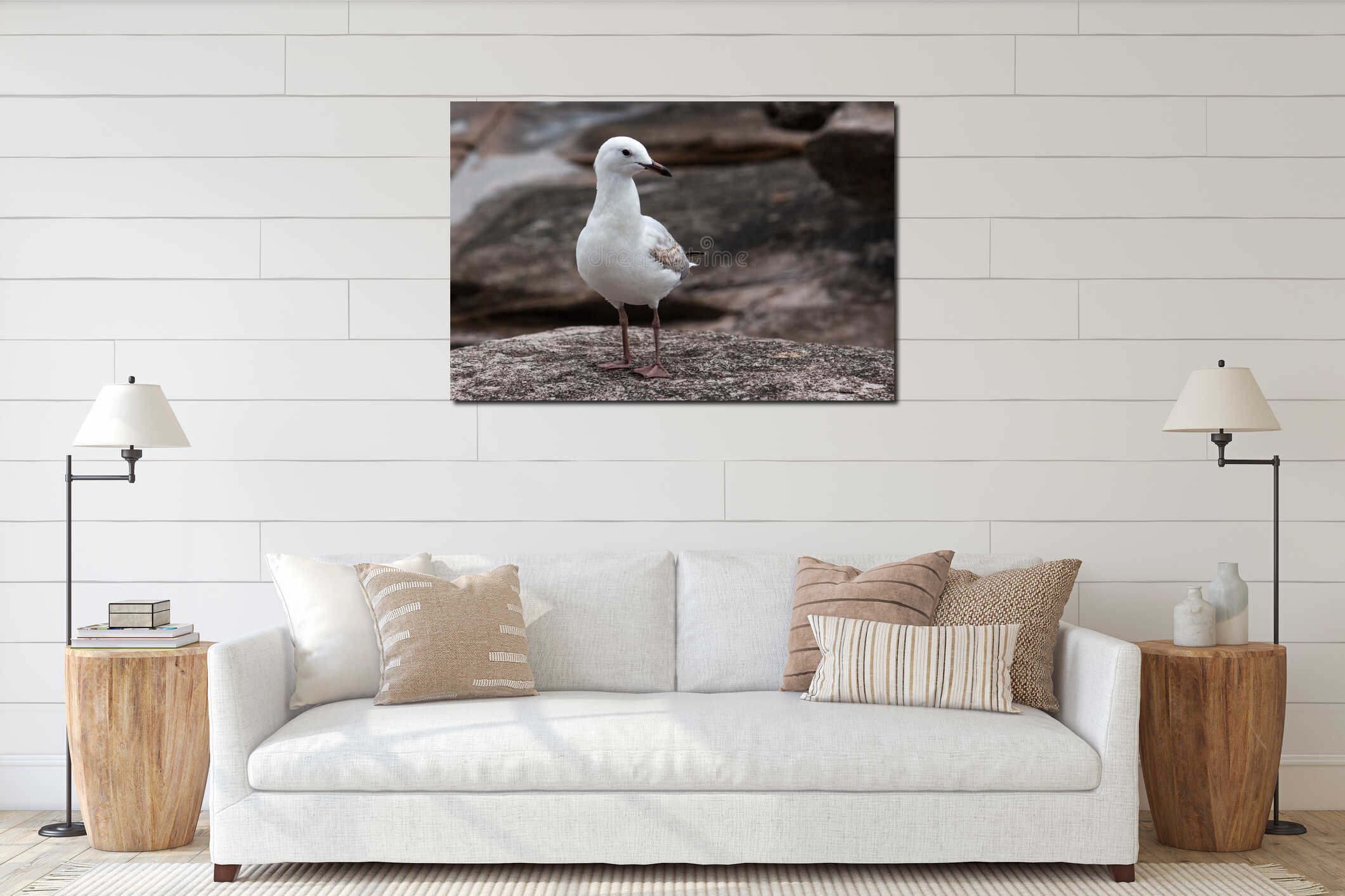 Single seagull bird standing in profile on coastal rock platform interior mockup