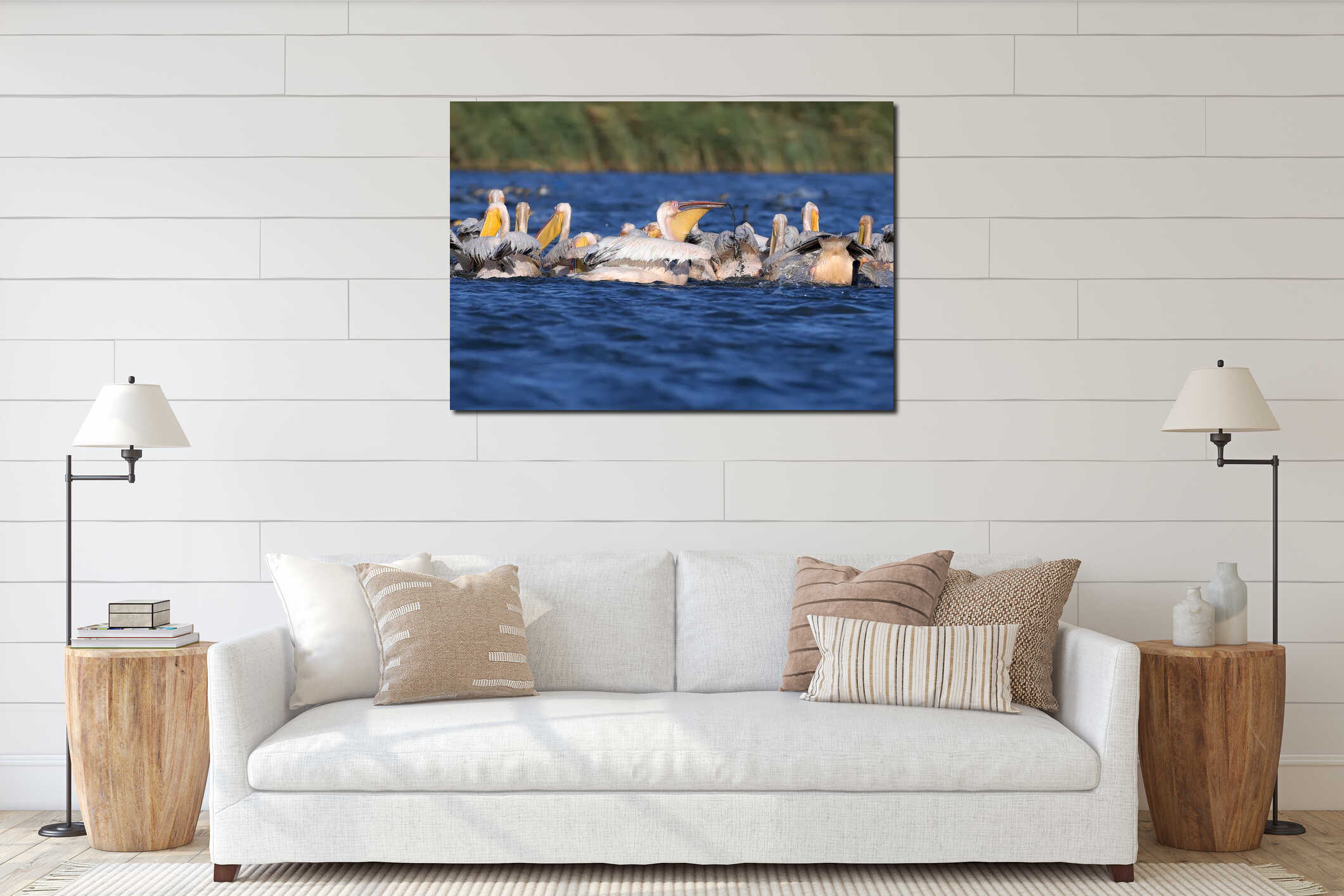 A large flock of white pelicans together hunt fish interior mockup