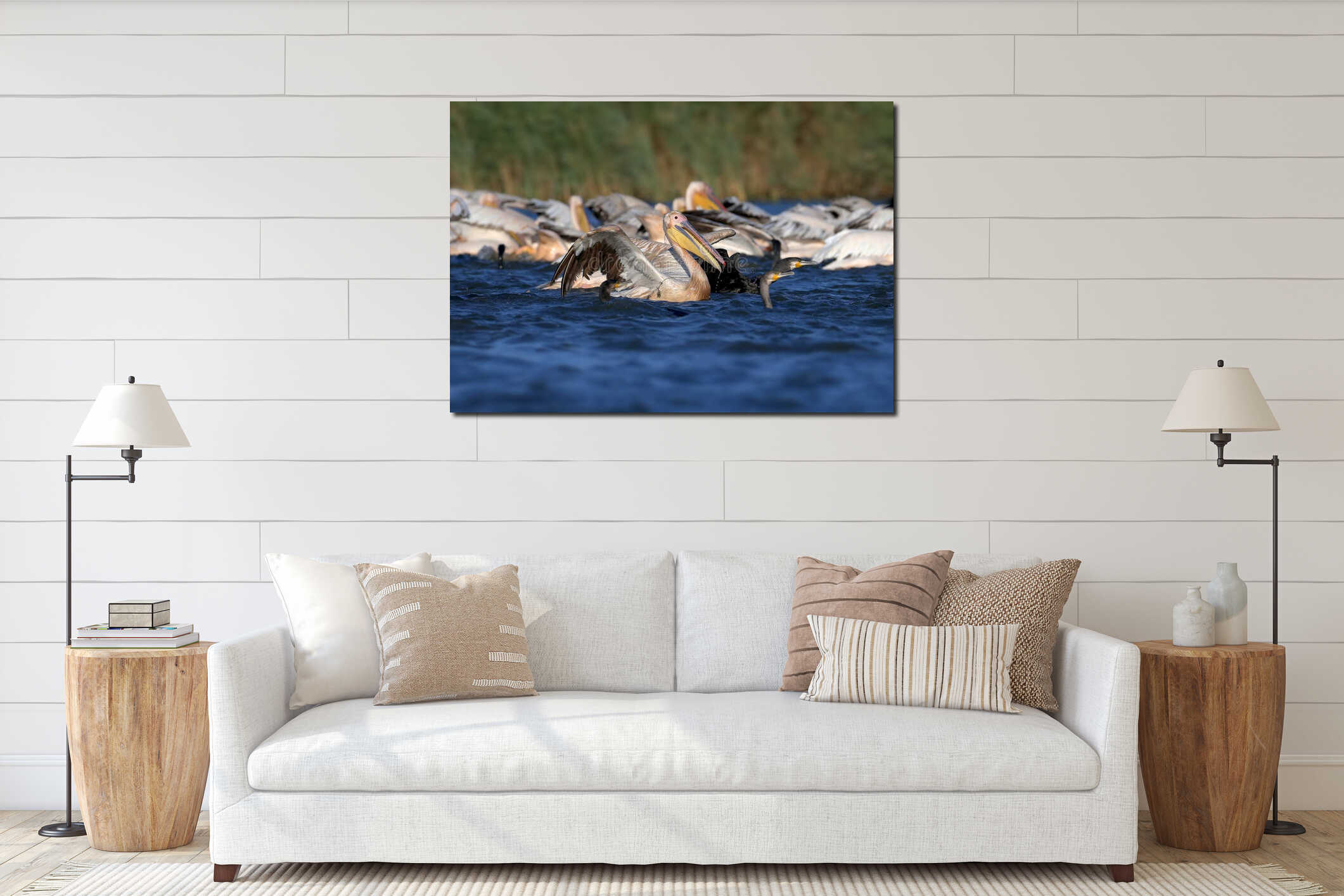 A large flock of white pelicans and cormorants together catching fish interior mockup