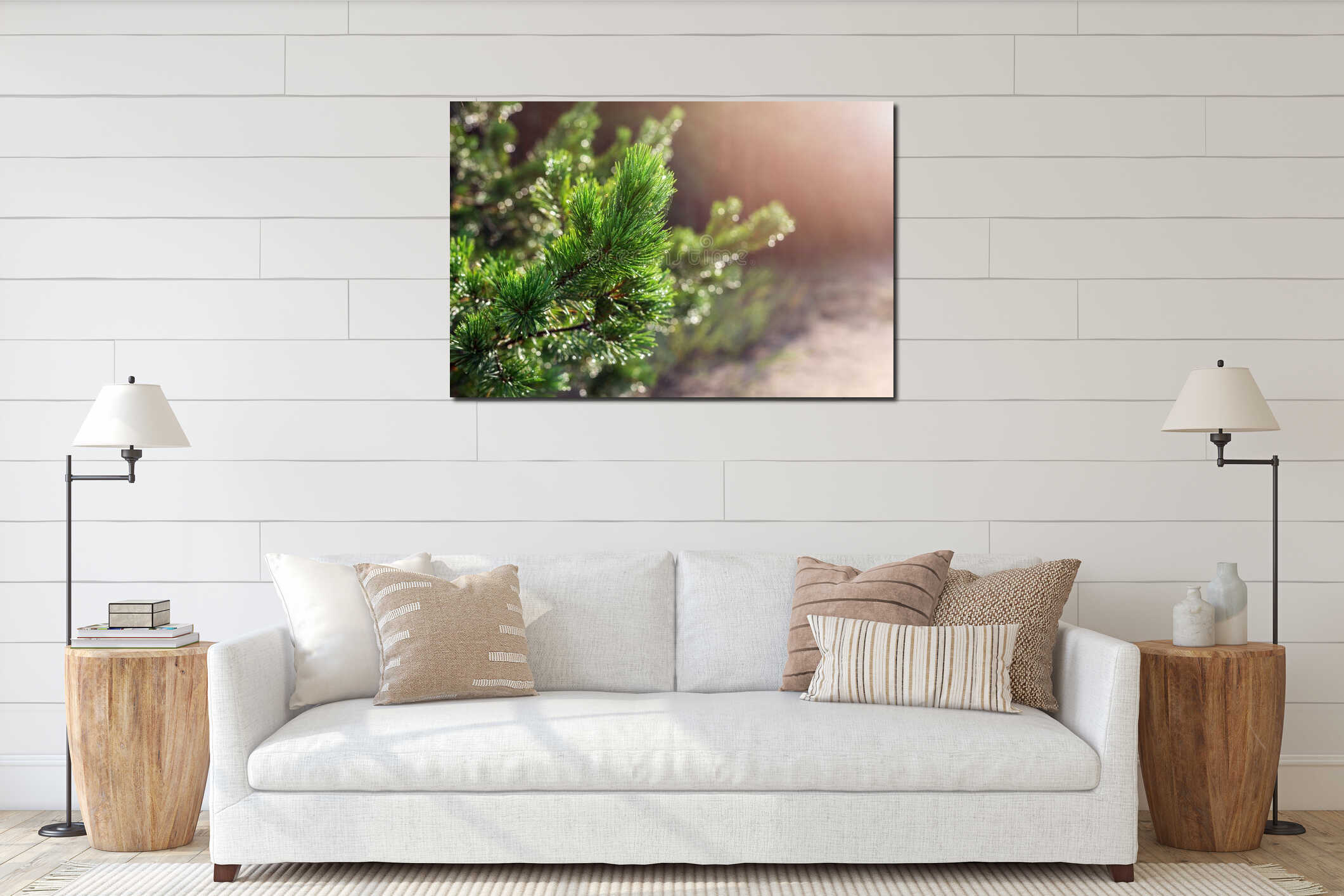 Evergreen pine tree branch in warm morning light. Close-up coniferous tree needle with spider web in sunrise. Beautiful fresh natu interior mockup
