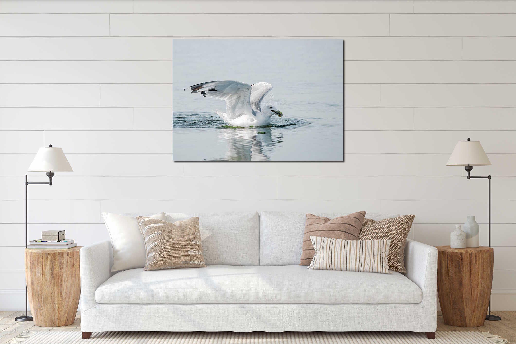 Close-up portrait of big white and gray seagull bird caught a fish on the water on a sunny summer day. interior mockup