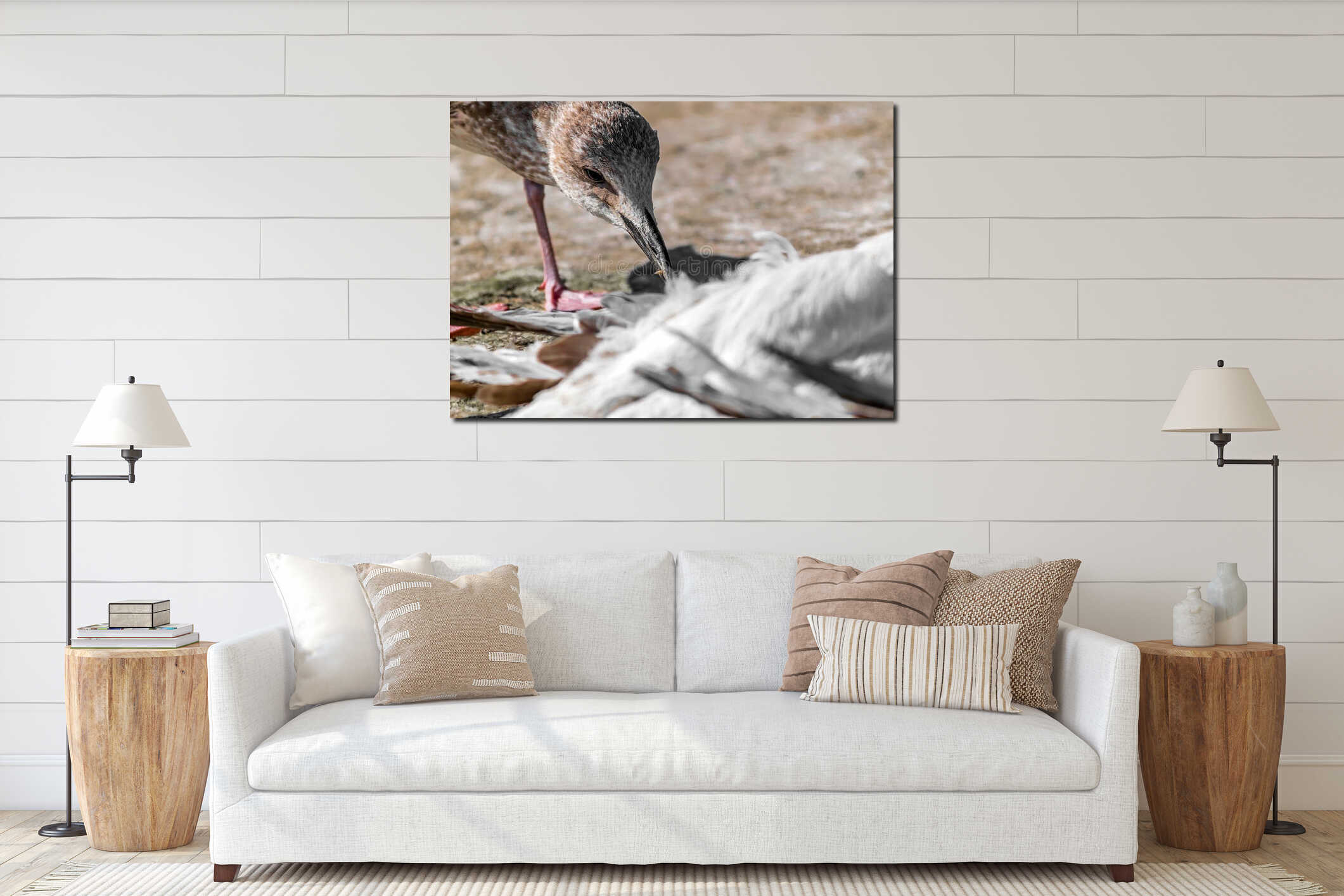 Close-up portrait of big gray brown seagull eating another dead bird on shore on a summer sunny day. Useful shoreline interior mockup