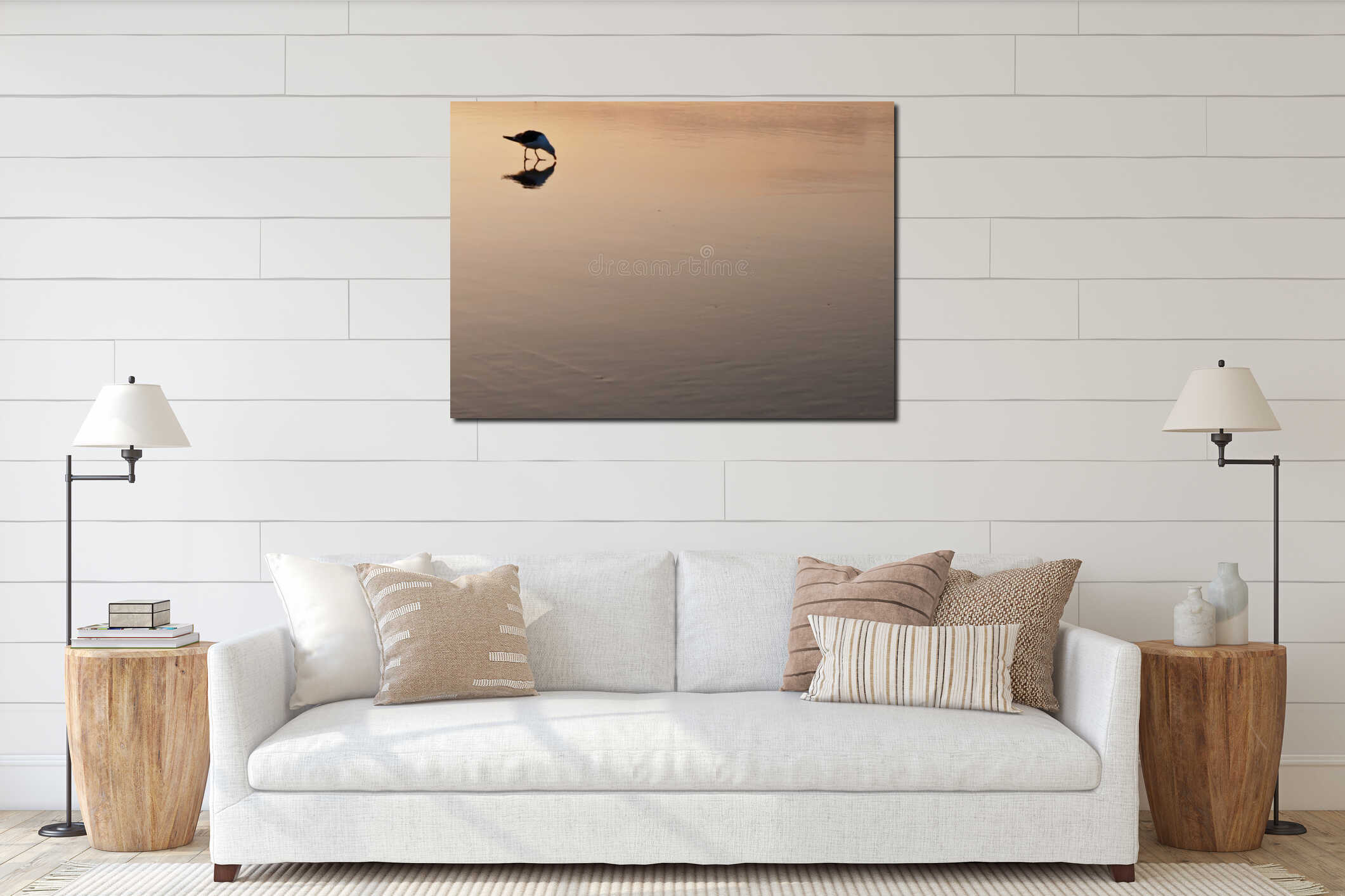 A lone seagull standing in the shallow surf interior mockup