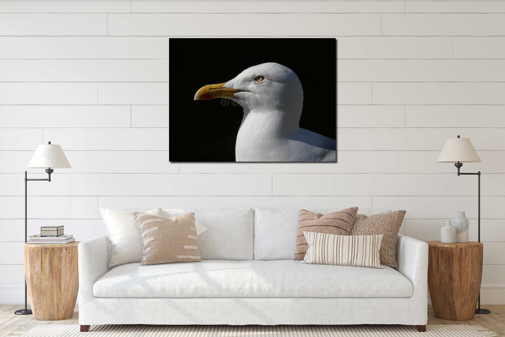 Adult Seagull / Herring gull portrait head and face looking left interior mockup