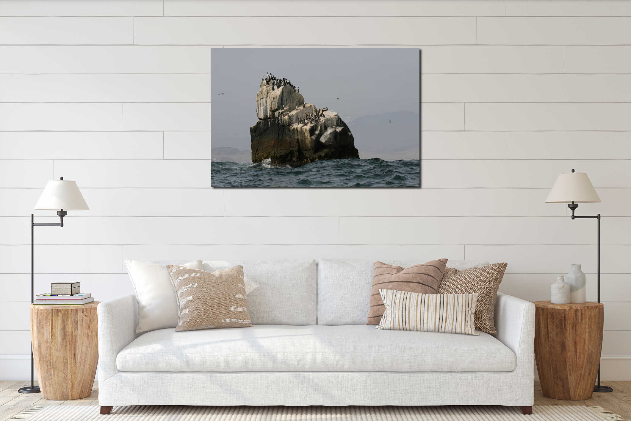 Rocky outcrops with Guanay cormorant birds in Peru interior mockup