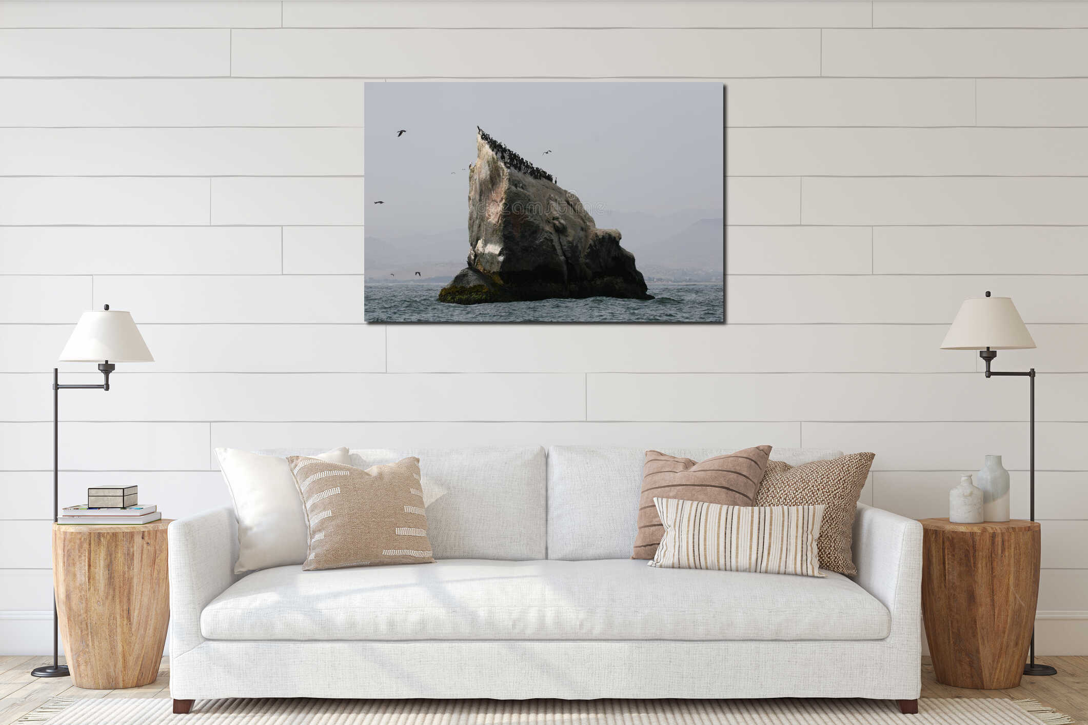 Rocky outcrops with Guanay cormorants in Peru interior mockup