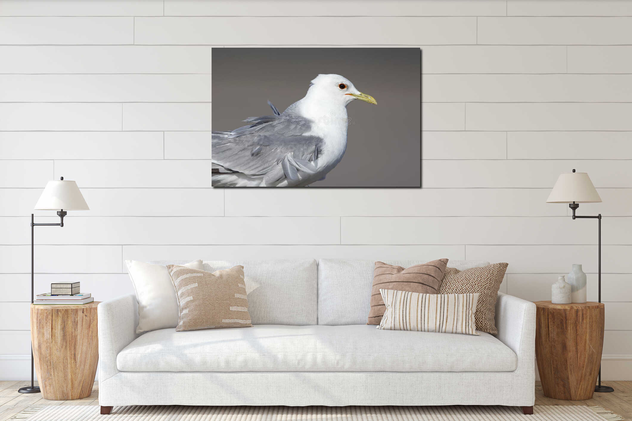 A close-up of an adult common gull or Mew gull Larus canus standing on a parking lot in the ports of Bremen Germany. interior mockup