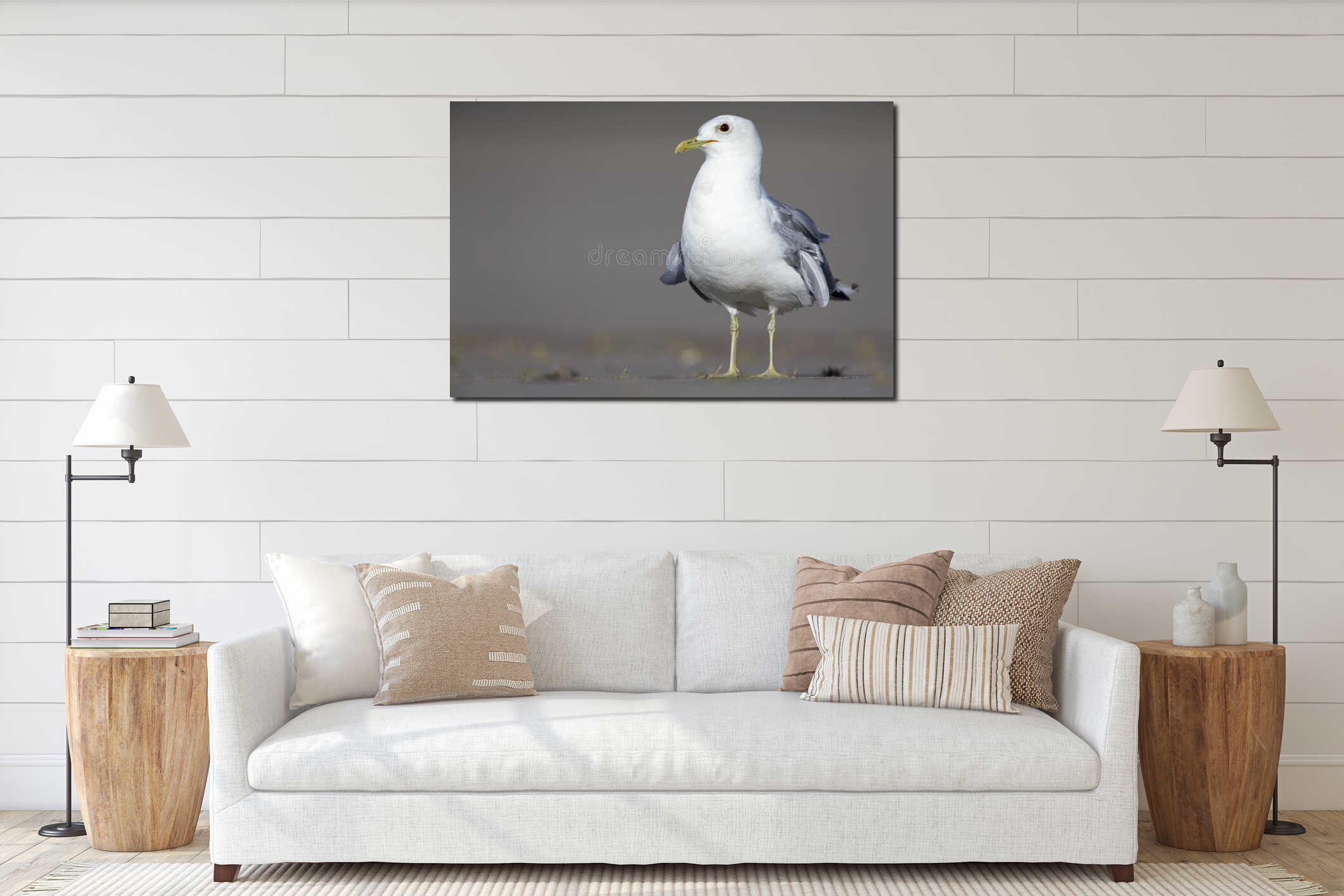 An adult common gull or Mew gull Larus canus standing on a parking lot in the ports of Bremen Germany. interior mockup