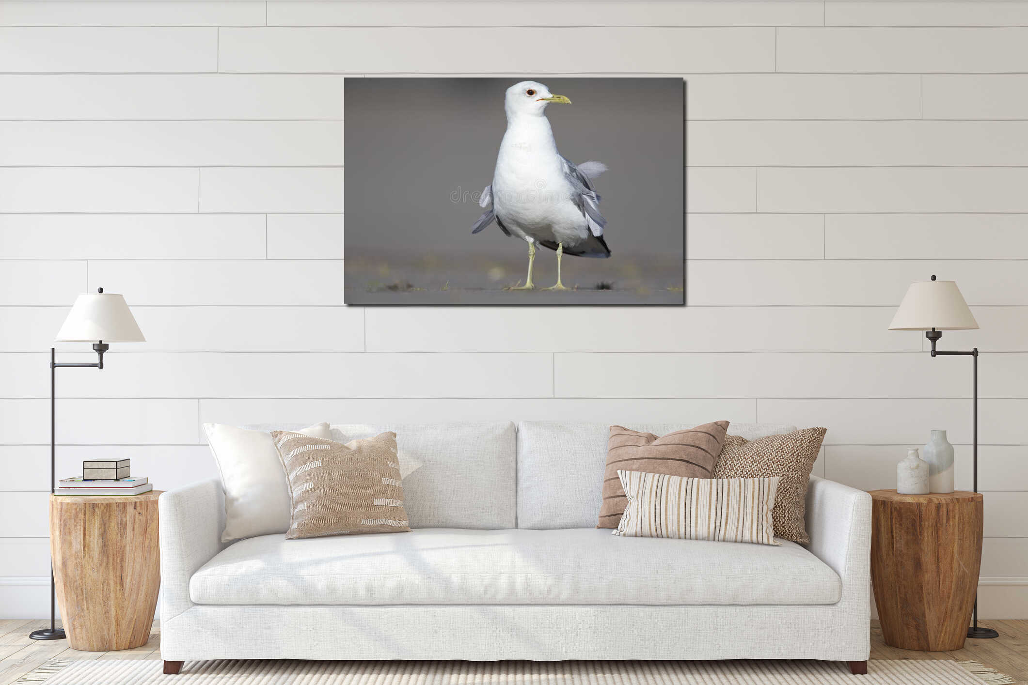 An adult common gull or Mew gull Larus canus standing on a parking lot in the ports of Bremen Germany. interior mockup