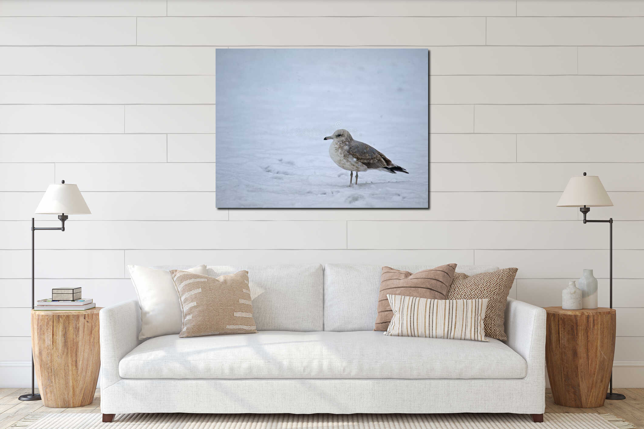 Seagull standing on Snow interior mockup