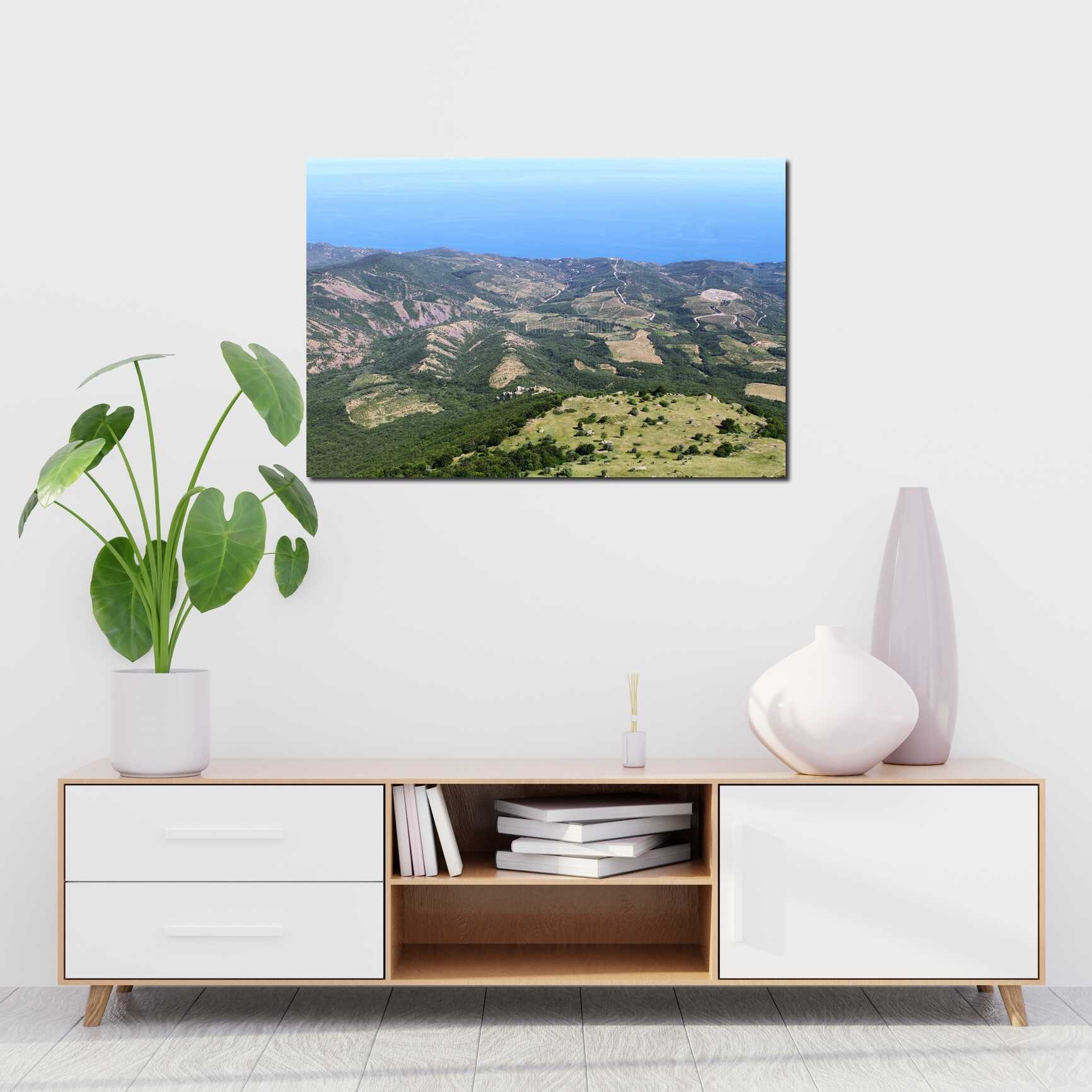 Canvas above sofa for size context