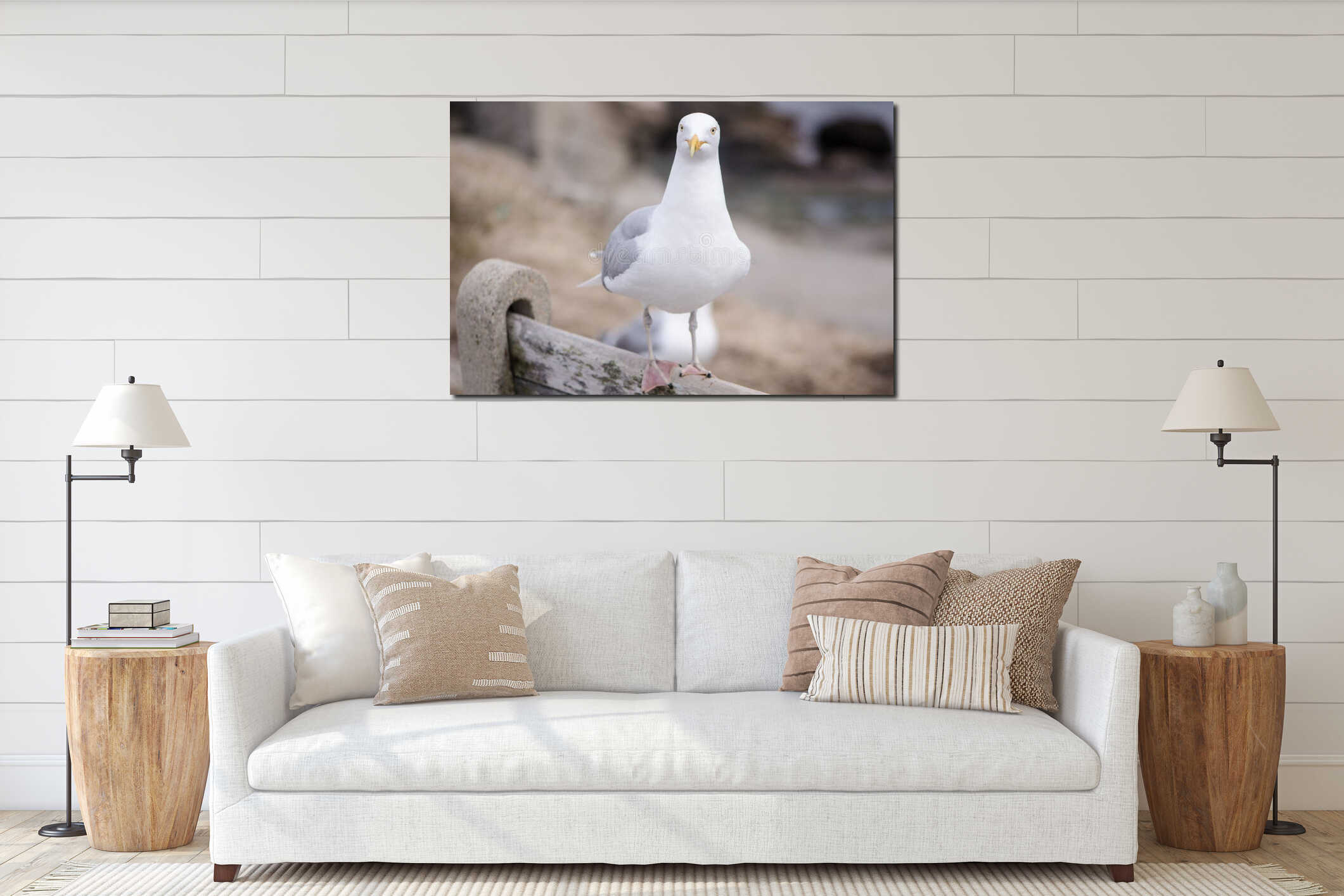 Single lone seagull perched on a bench interior mockup