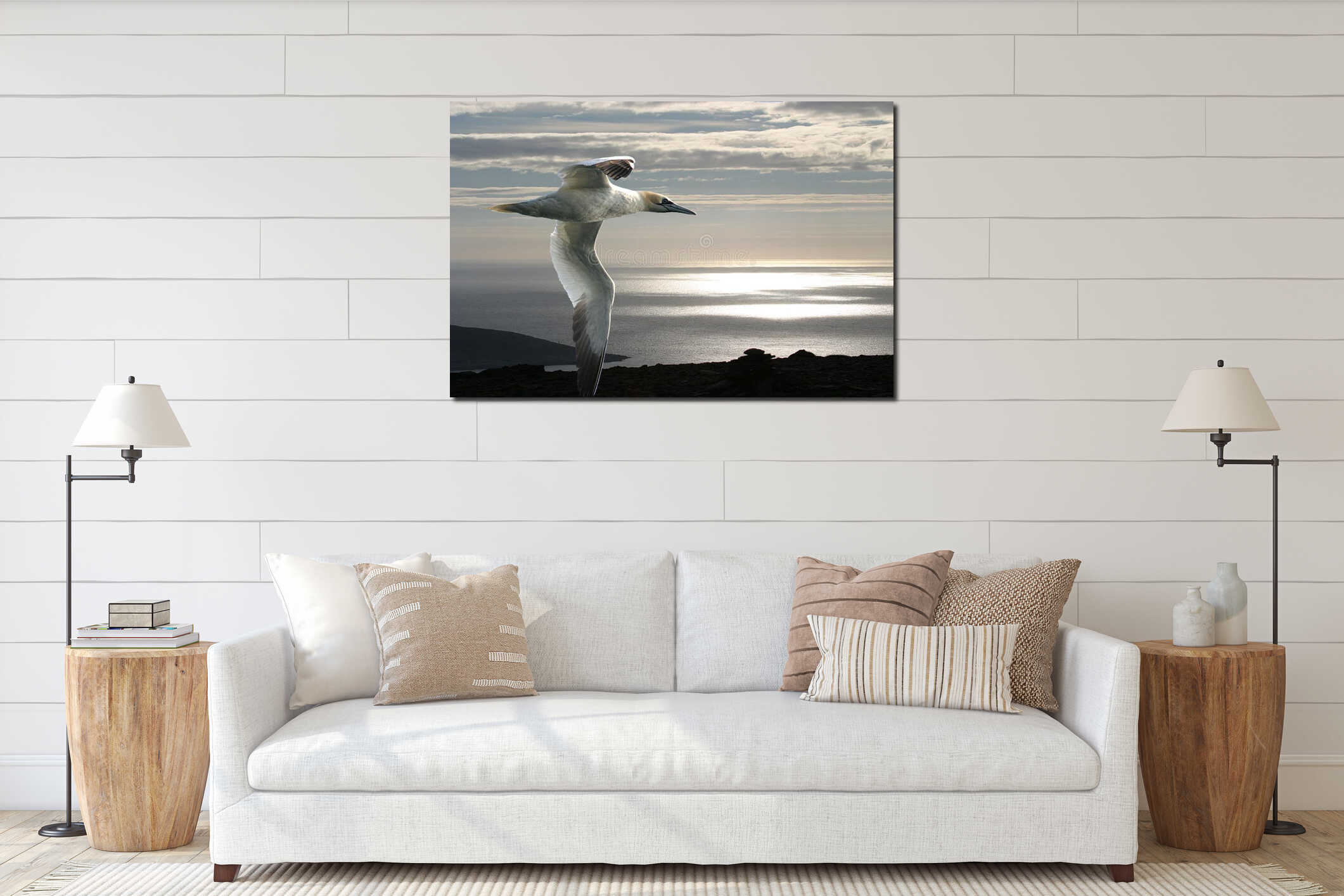 The gannet and the Arctic Ocean. interior mockup