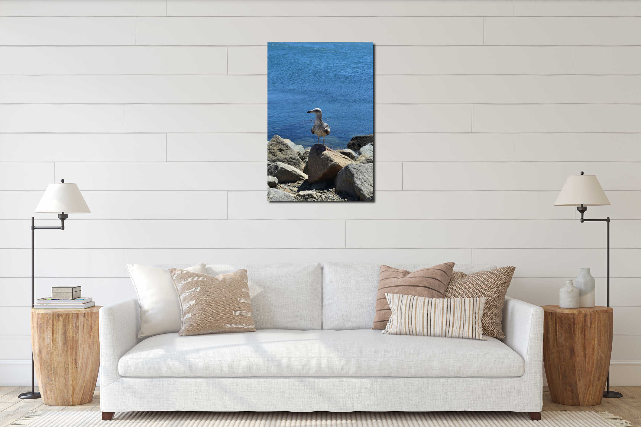 Beautiful shot of a seagull standing on the rocky coast interior mockup