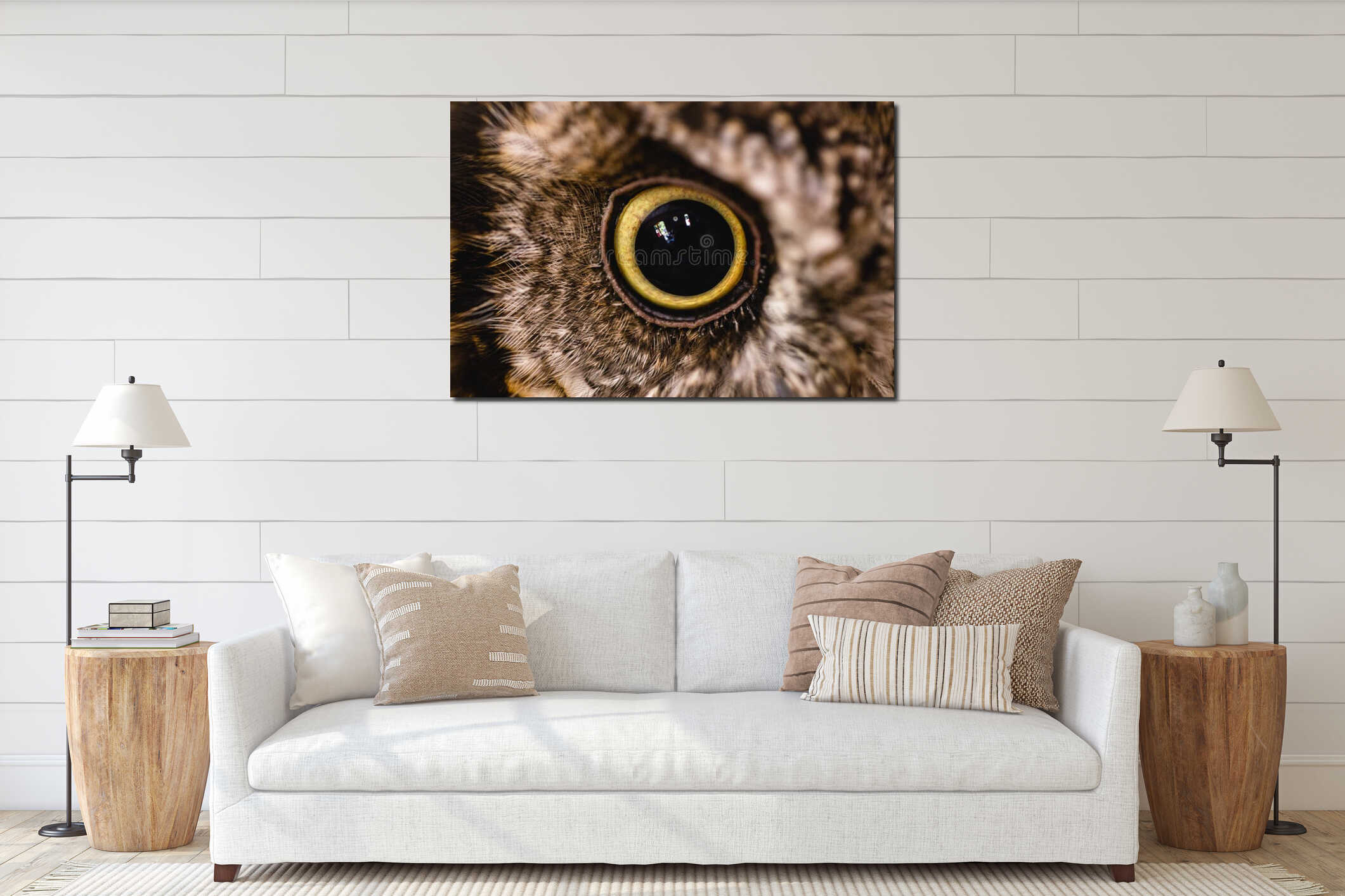 Photograph of an ow `s eye in high resolution. Eye of an animal in high quality, pupils in detail interior mockup