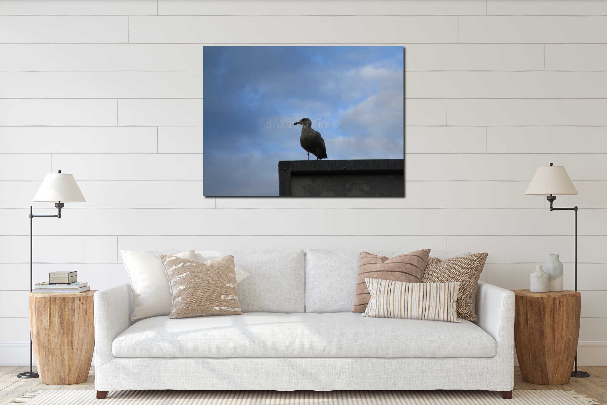 Juvenile seagull standing on structure at Jericho beach interior mockup