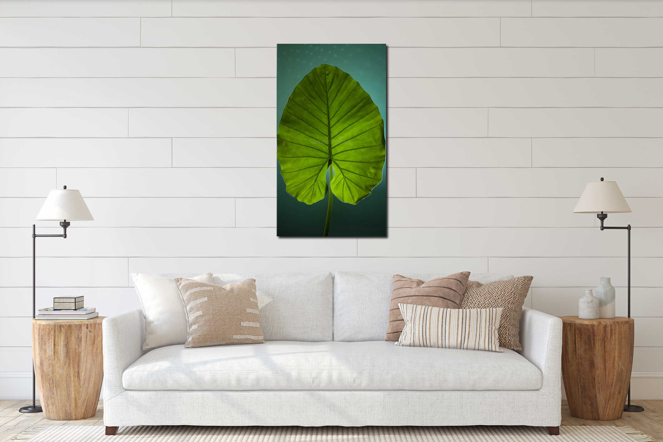 Alocasia odora leaf close shot interior mockup
