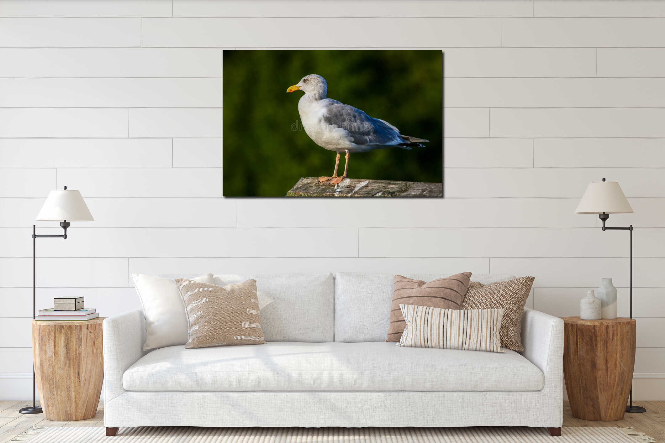 Seagull standing against natural green background interior mockup
