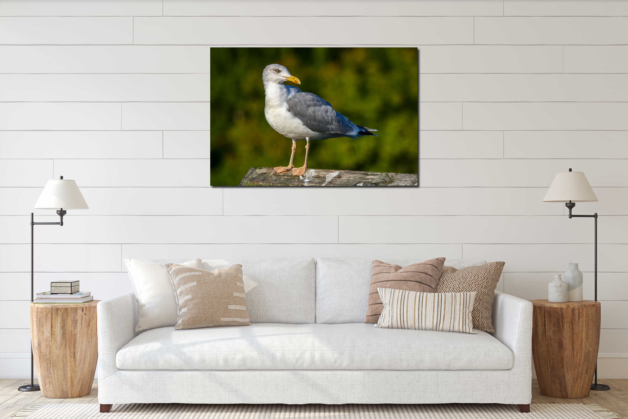 Seagull standing against natural green background interior mockup