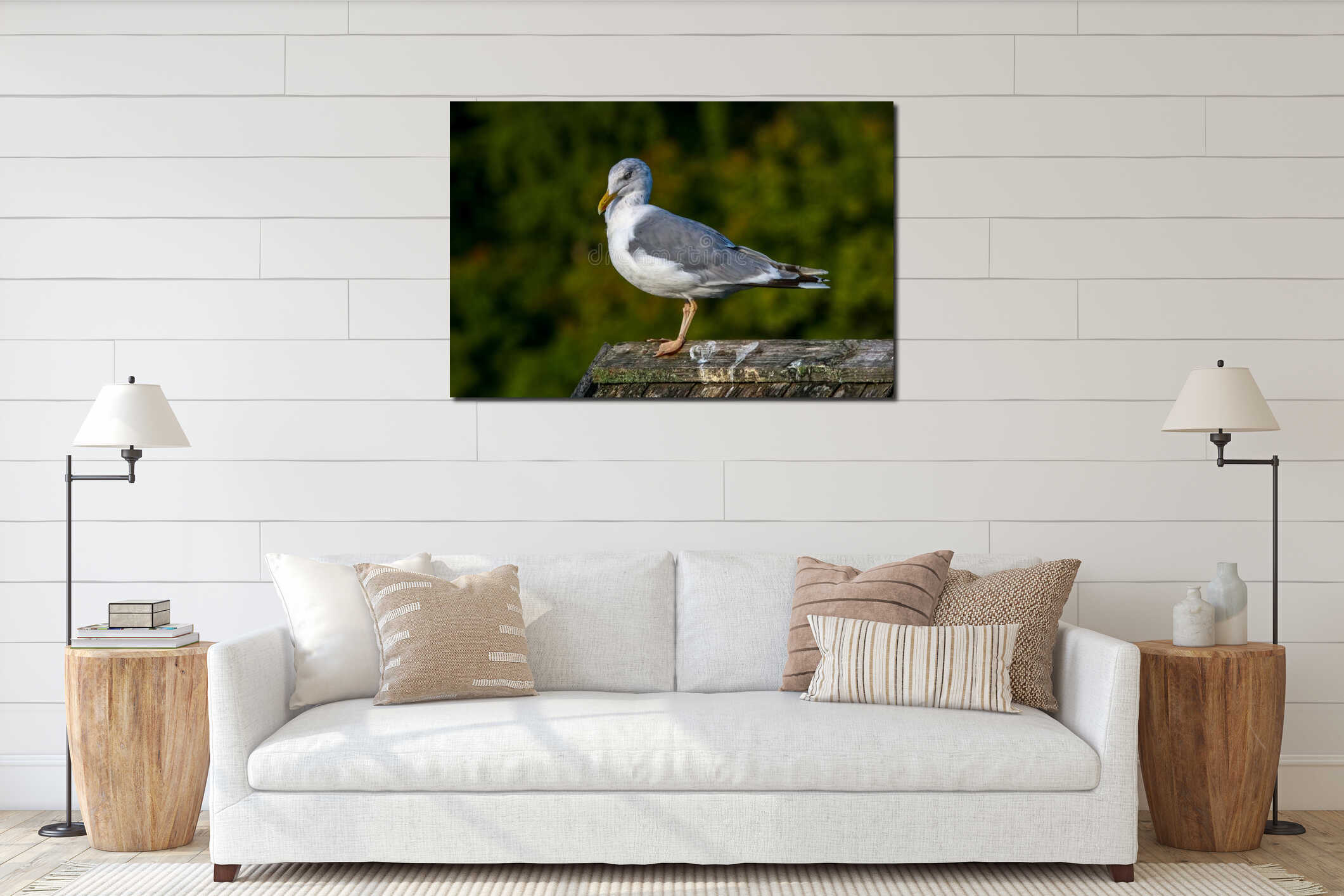 Seagull standing against natural green background interior mockup