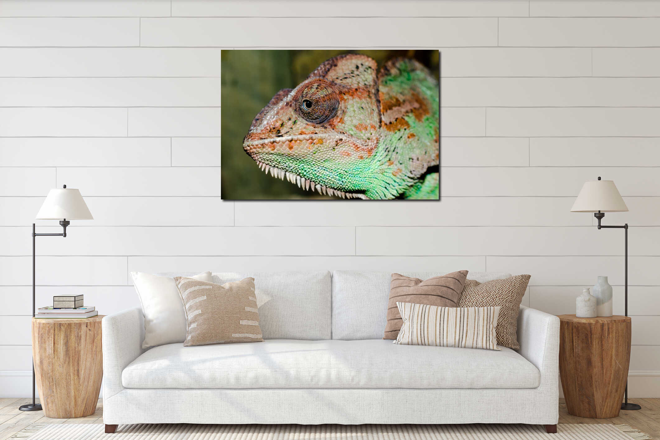 Head of an adult large color chameleon close up interior mockup