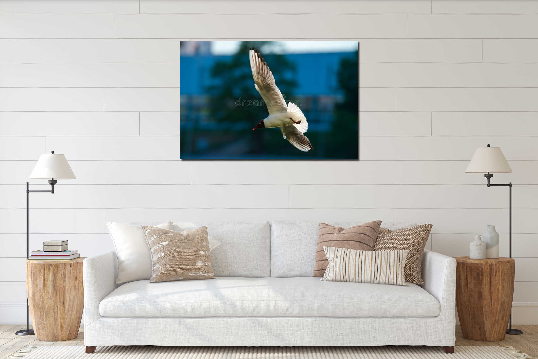 Fly seagull city concept air blue nature bird interior mockup