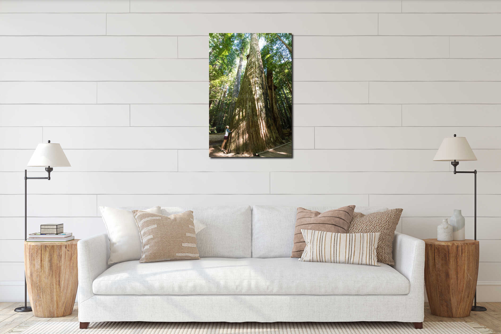 Female tourist stands next to a giant Redwood tree in California in Redwood National Park in the summer interior mockup