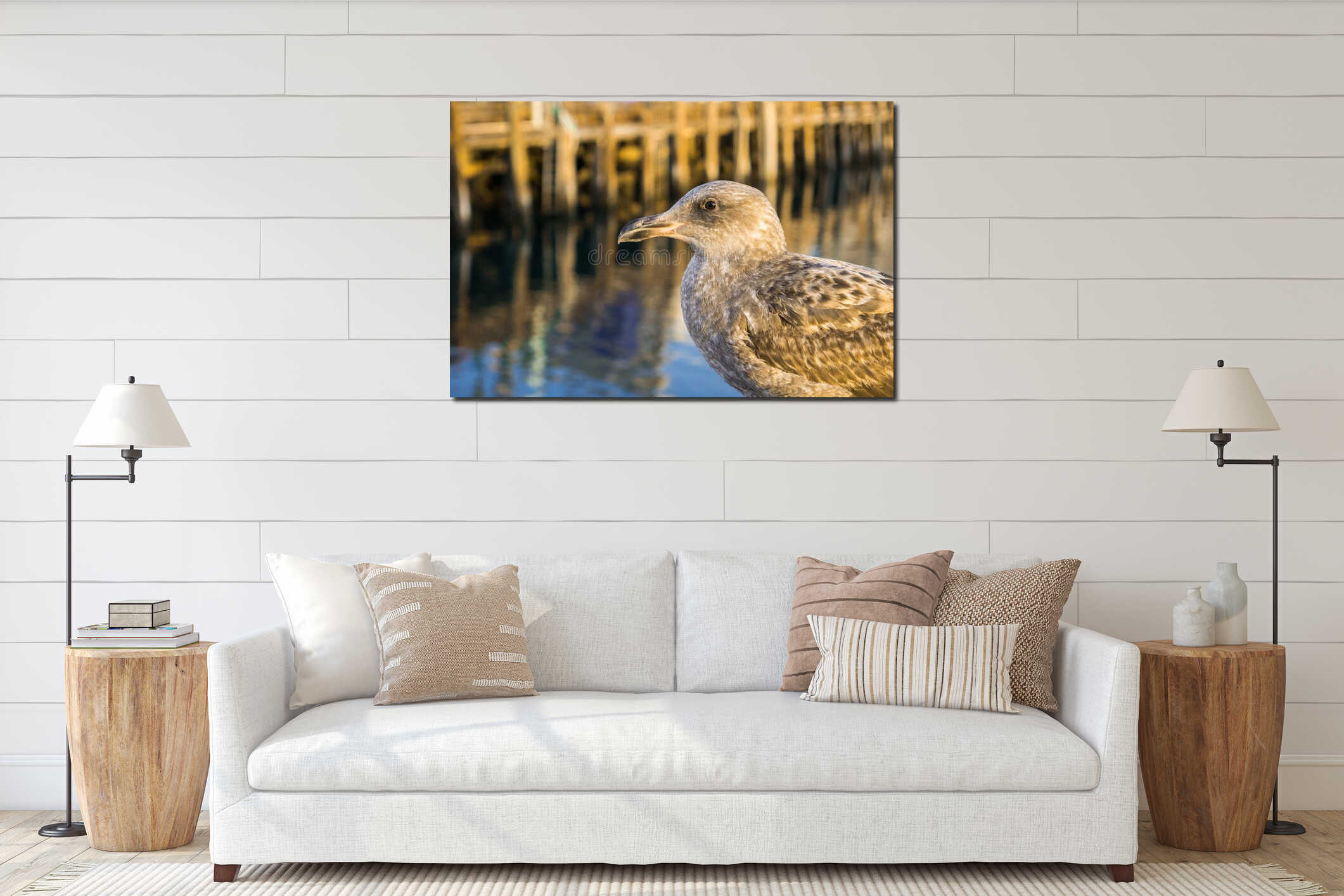 Close up of a juvenile Herring Gull, blurred harbor pier in the background; Morro bay, California interior mockup