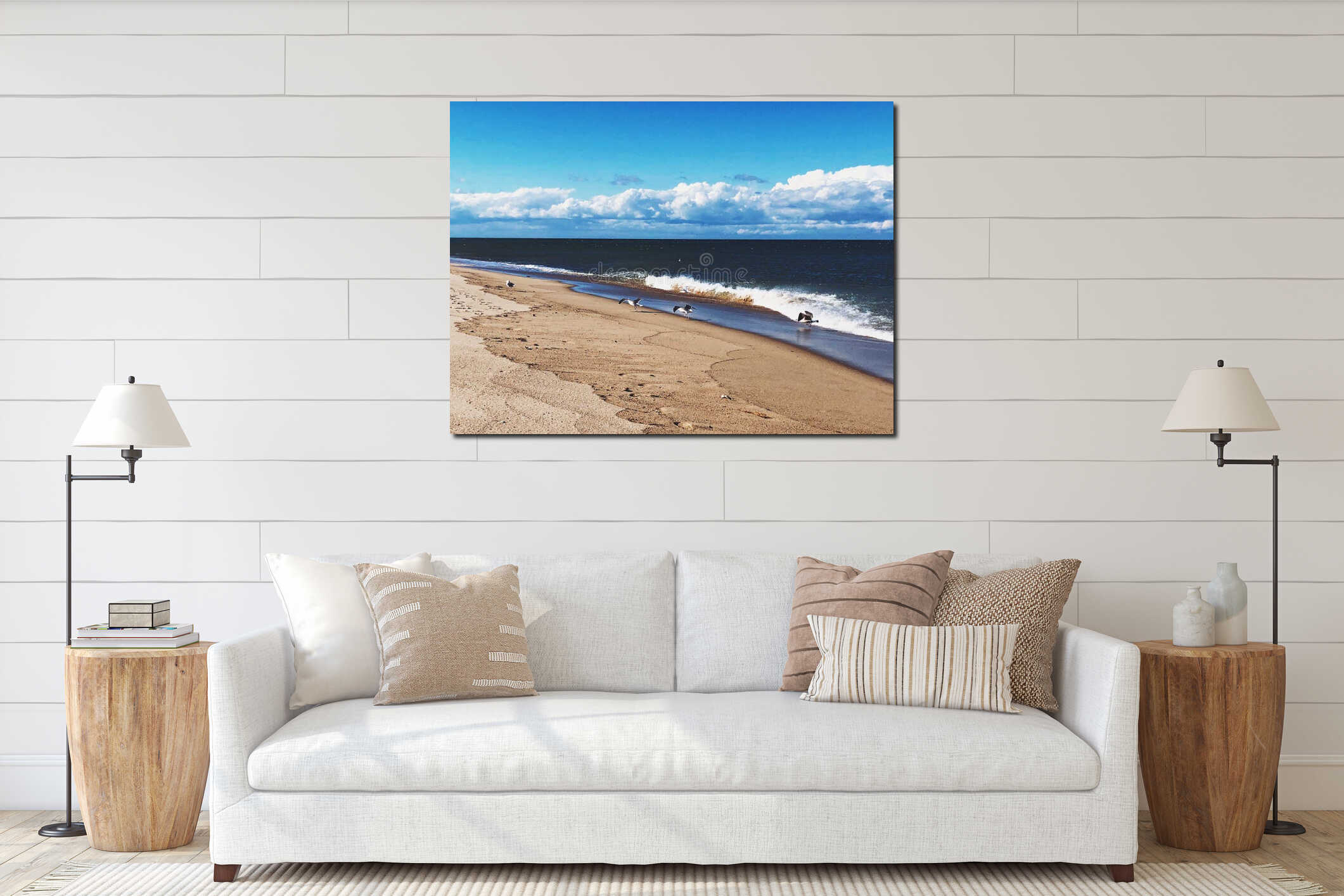 Seagull flying above Race Point Beach interior mockup