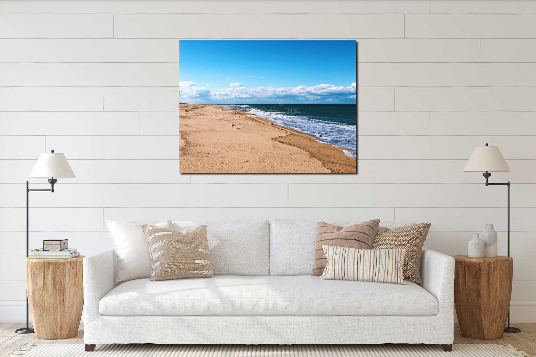 Seagull flying above Race Point Beach interior mockup