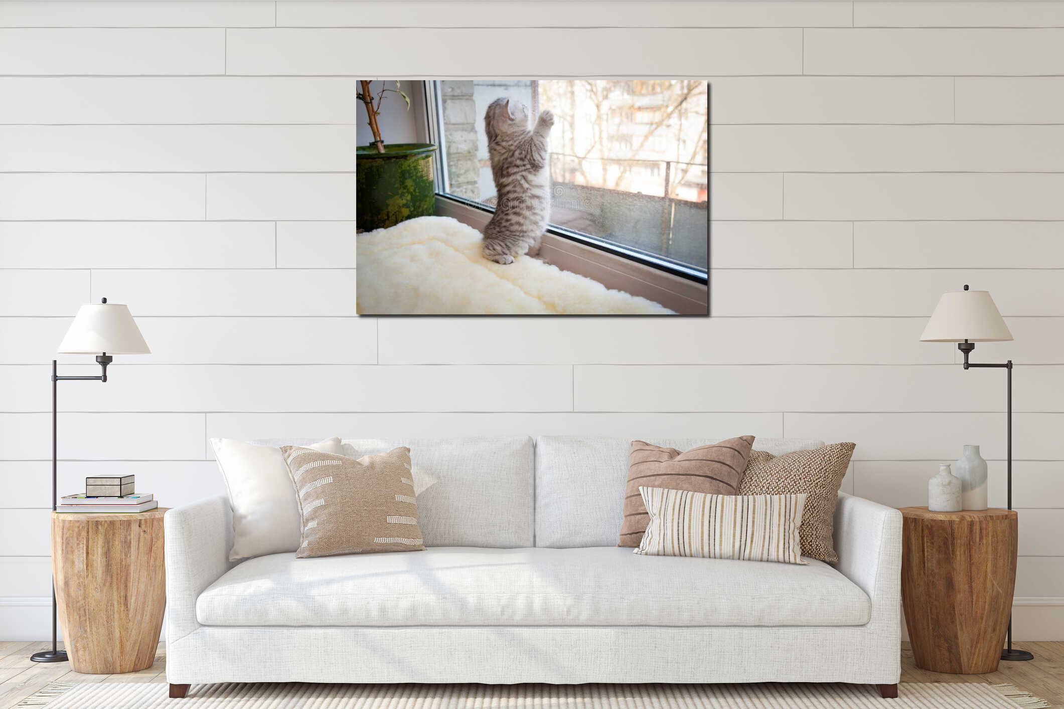 British kitten stood on its hind legs on the windowsill and looks out the window interior mockup