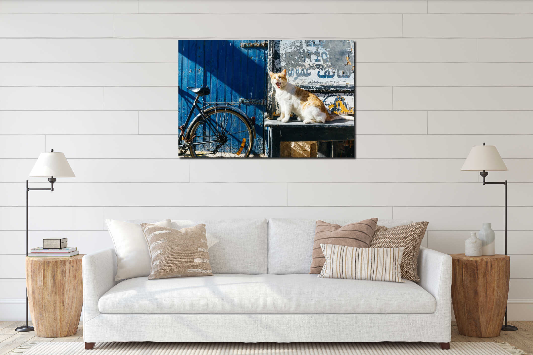 Street cat on the streets of Marrakesh and Essaouira in Morocco in the fishing port and medina near the wall interior mockup