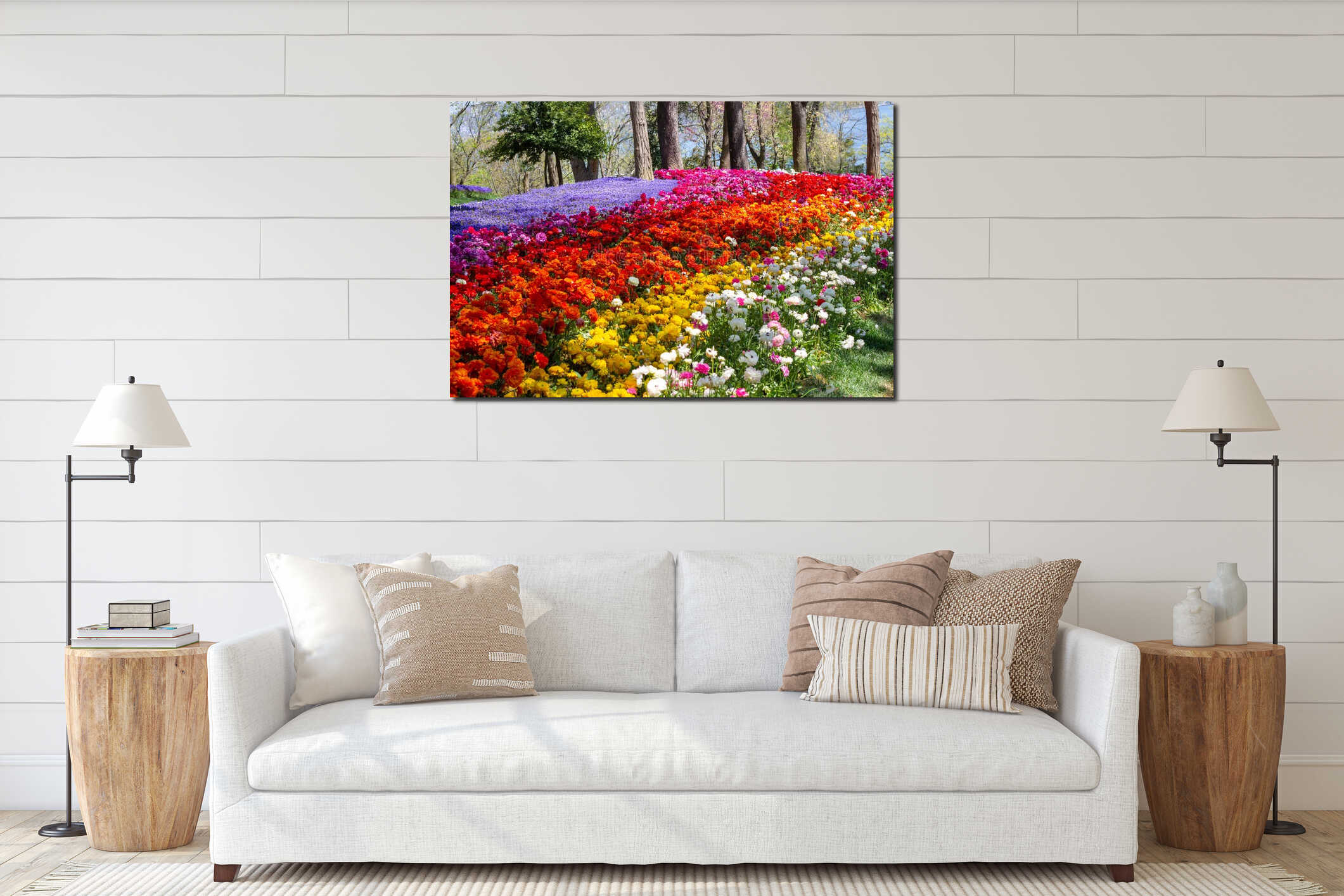 Multicolored flowers in Emirgan Park at the Tulip Festival in Istanbul, a bright colorful spring background interior mockup