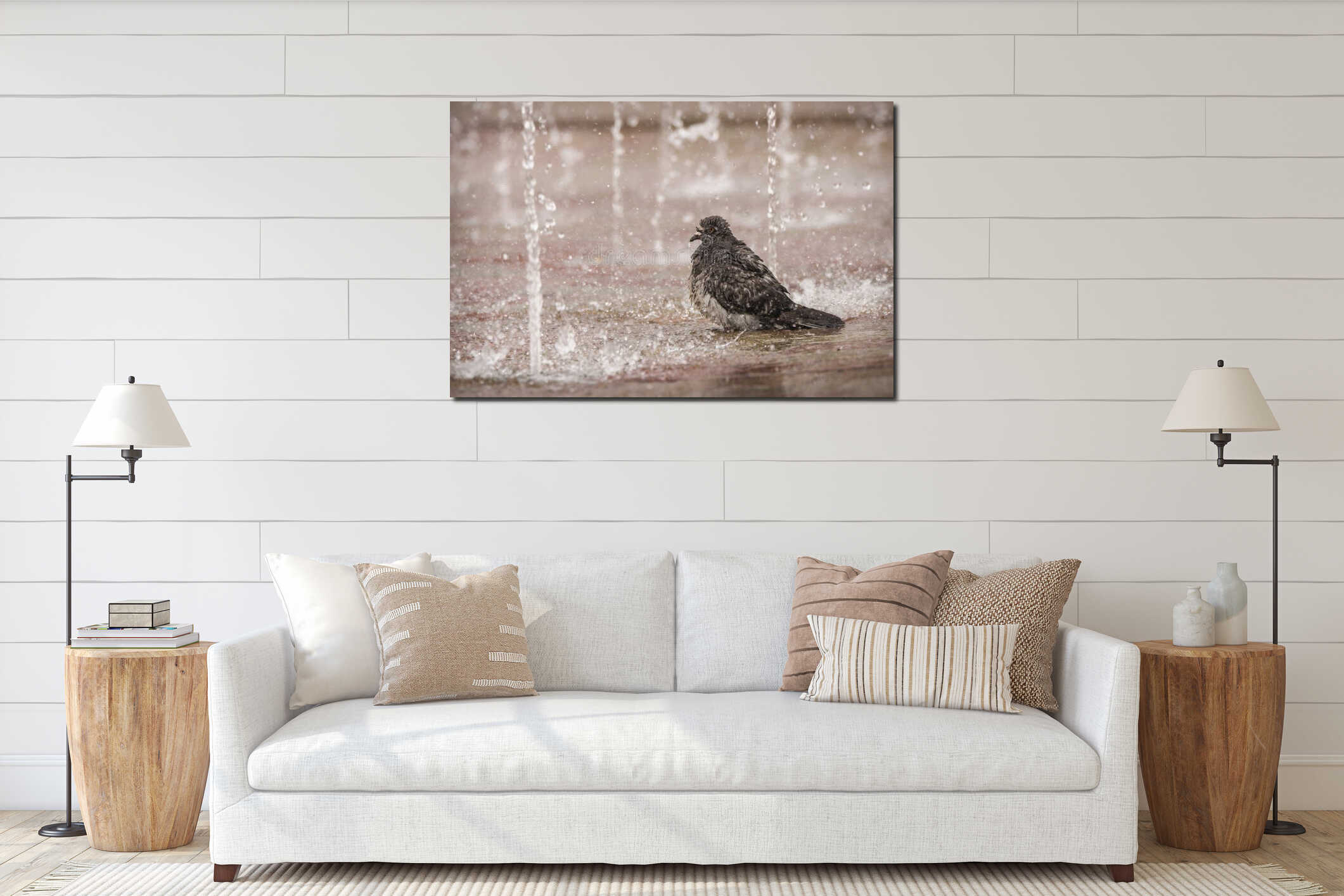 Pigeon bathing in a sidewalk fountain display in a square in Amsterdam, the Netherlands interior mockup