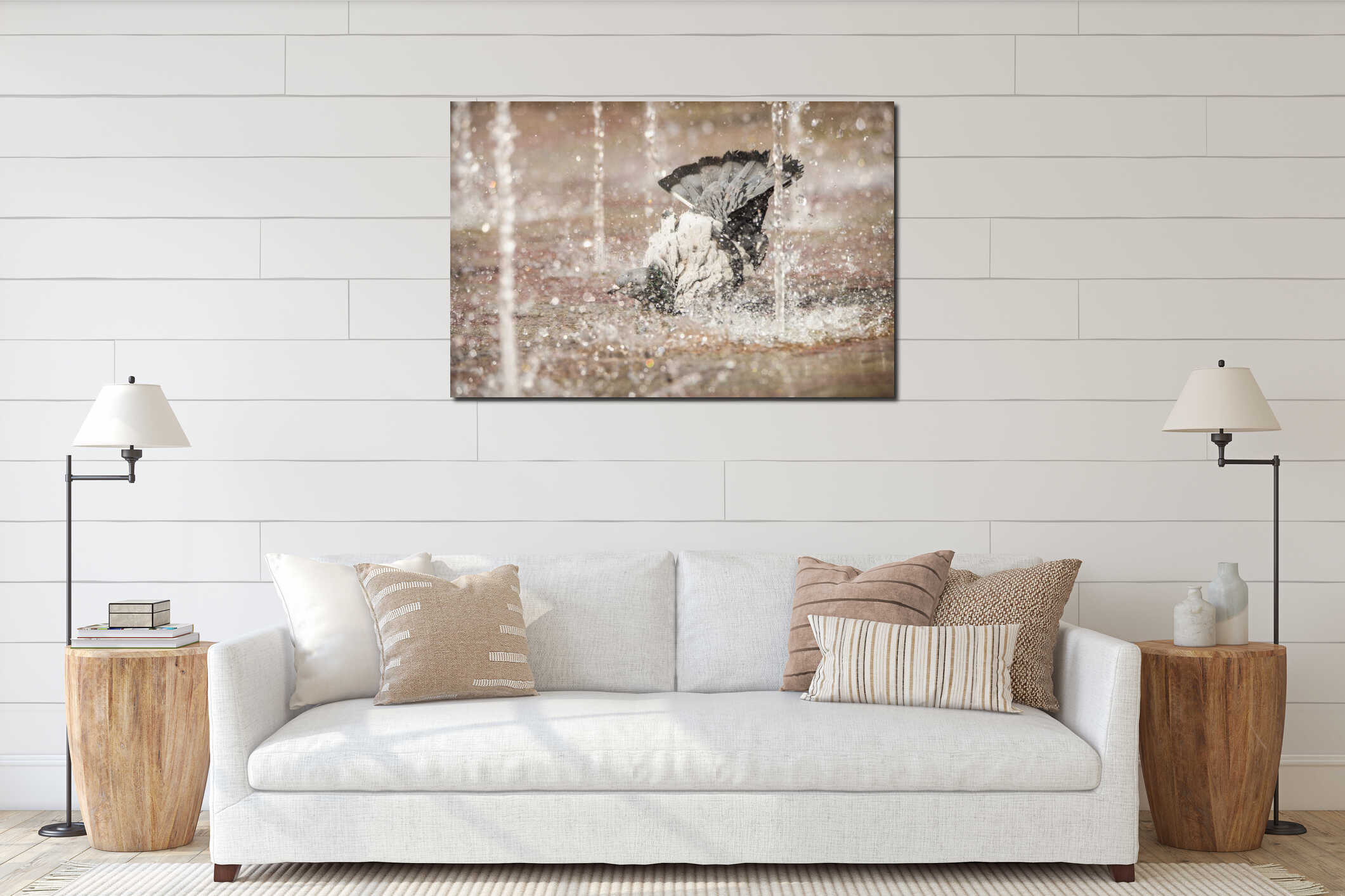 Pigeon bathing in a sidewalk fountain display in a square in Amsterdam, the Netherlands interior mockup