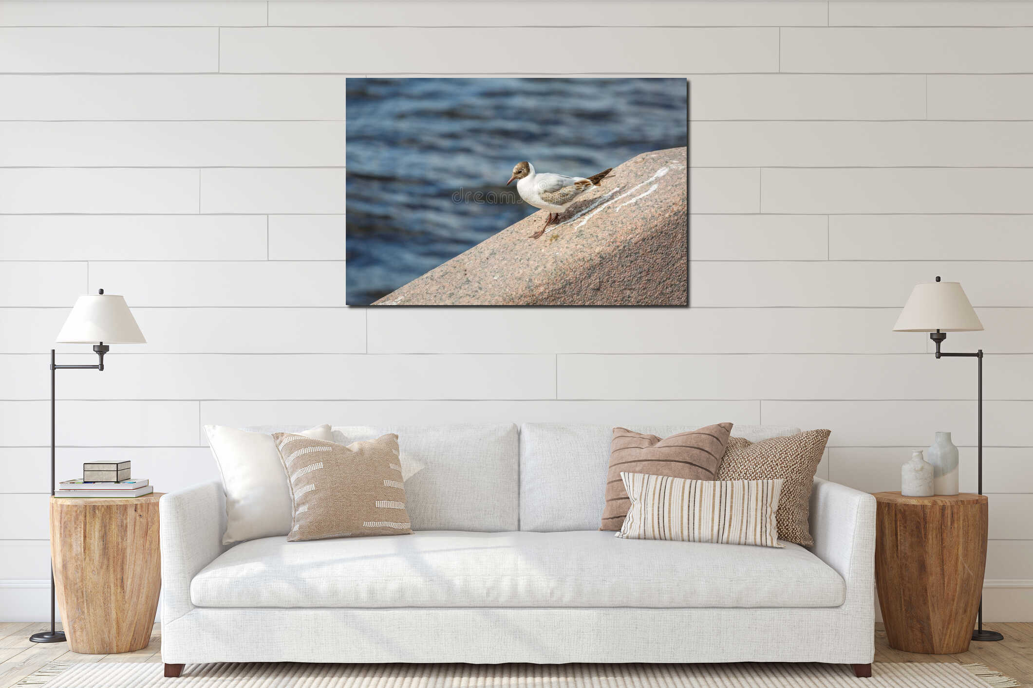 Beautiful white seagull with brown plumage is walking along a granite ledge against the dark waters of the Neva River in Saint-Pet interior mockup
