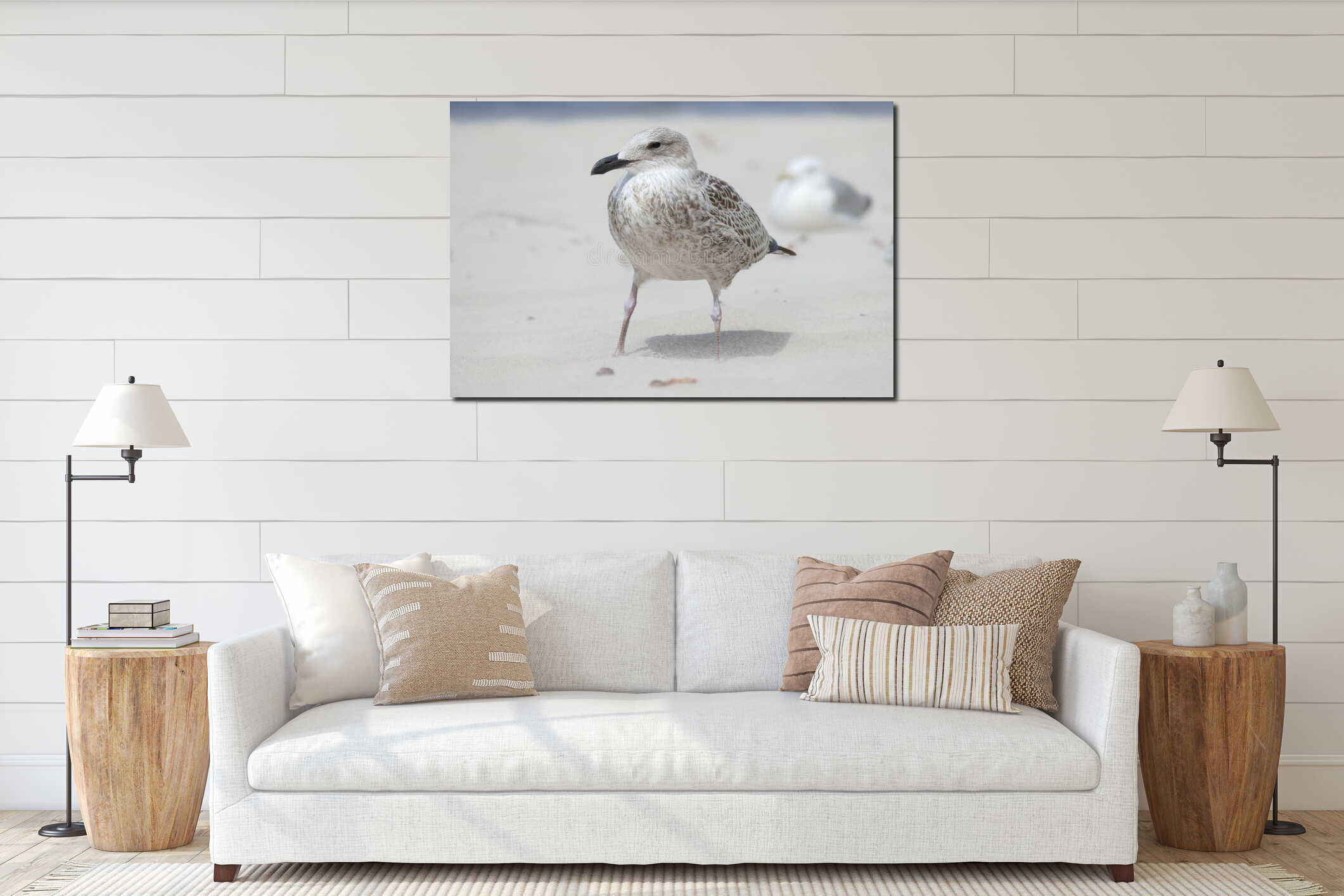Close-up of a young sleepy seagull Larus marinus on a sandy beach during a summer sunny day interior mockup