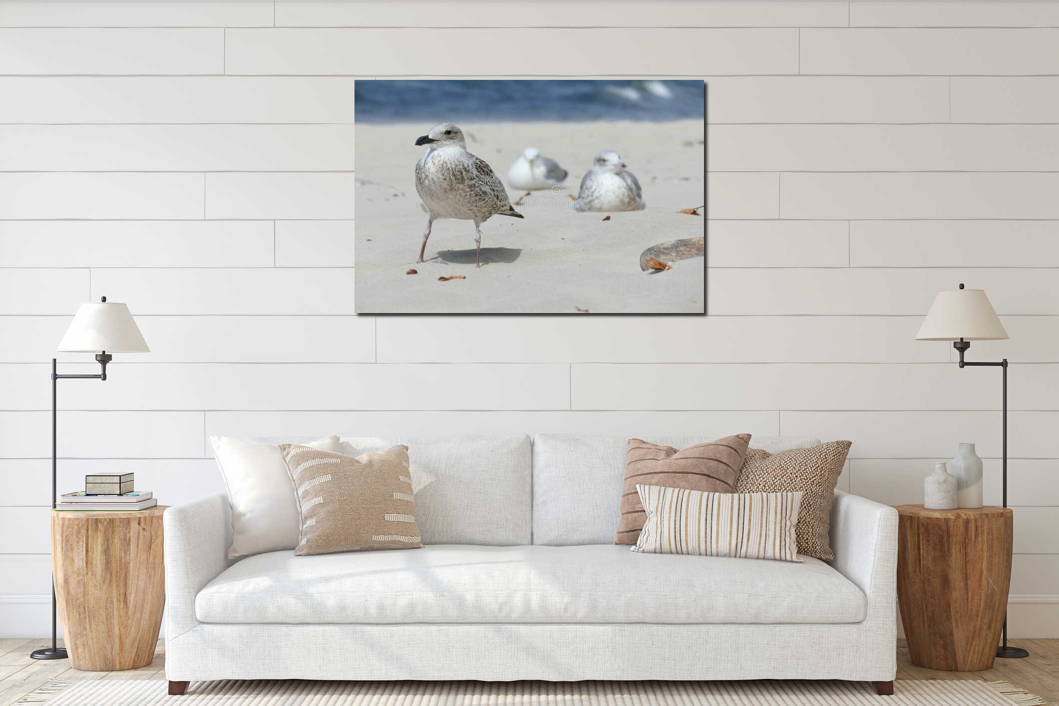 Close-up of a young seagull Larus marinus on a sandy beach during a summer sunny day with other seagulls in the background interior mockup