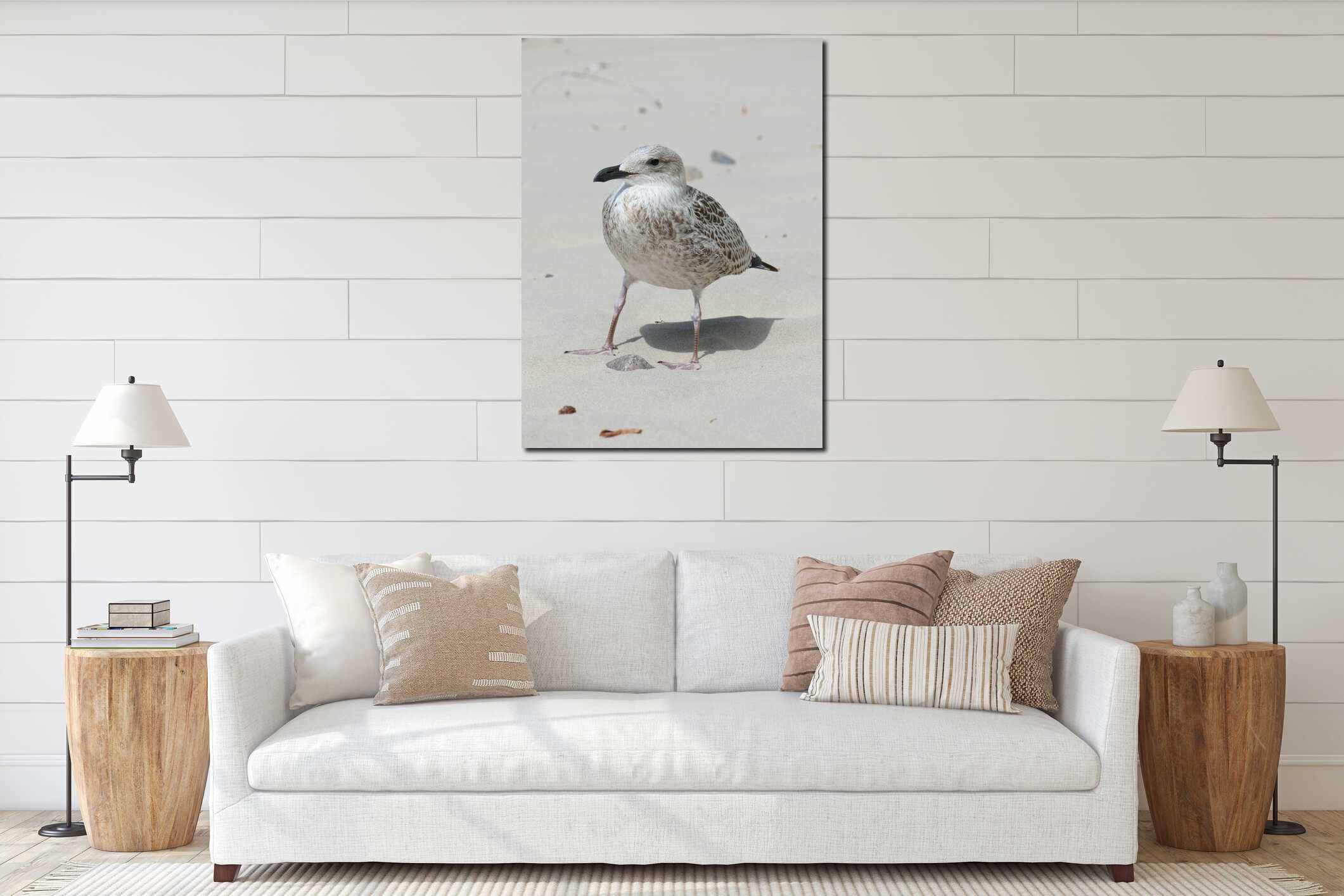 Young seagull Larus marinus on a sandy beach during a sunny day interior mockup