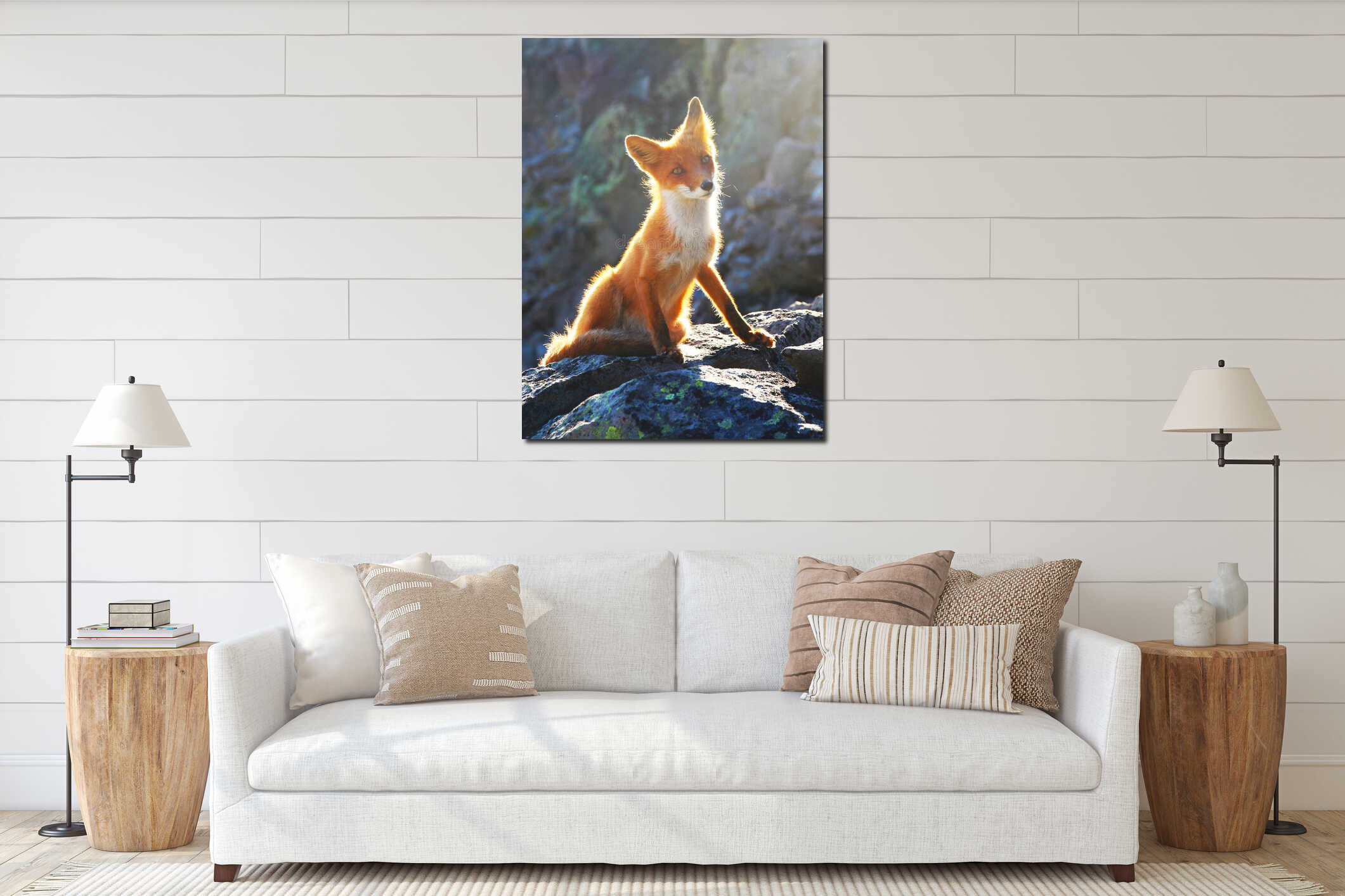 Beautiful wild red fox sits on a stone interior mockup