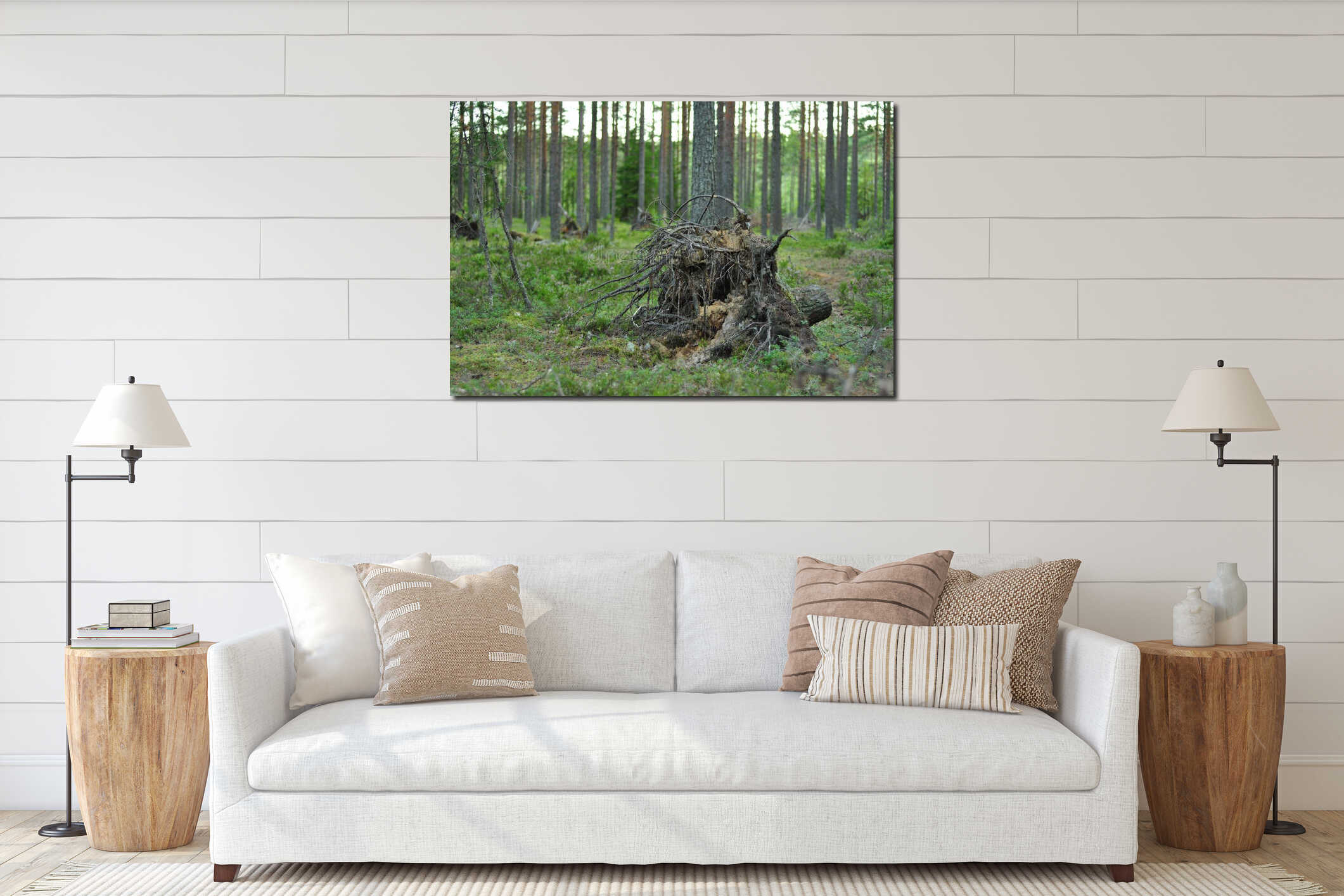 Rotten old tree stump in a pine forest canopy interior mockup