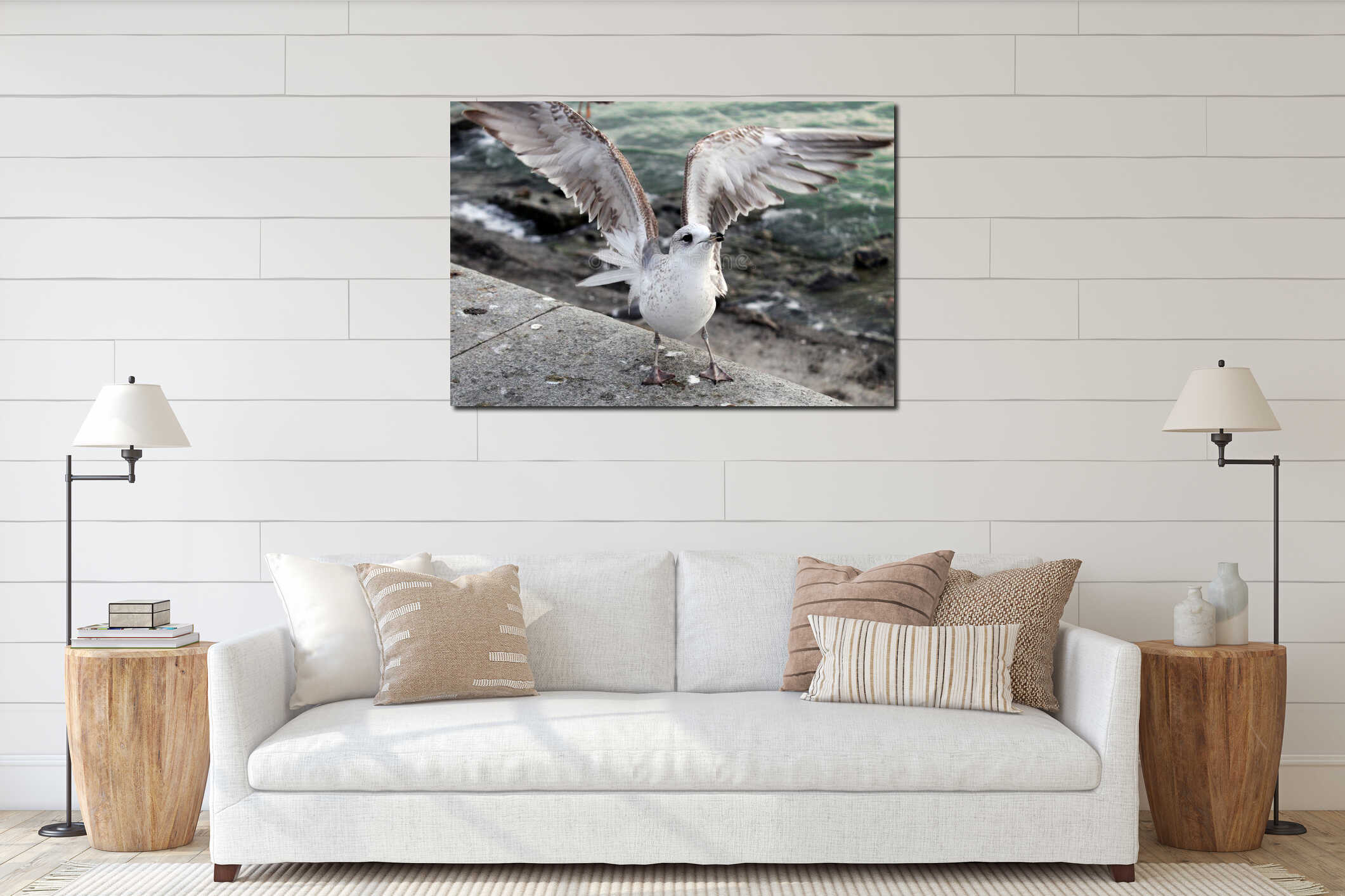 Azov seagull. City Berdyansk Ukraine interior mockup