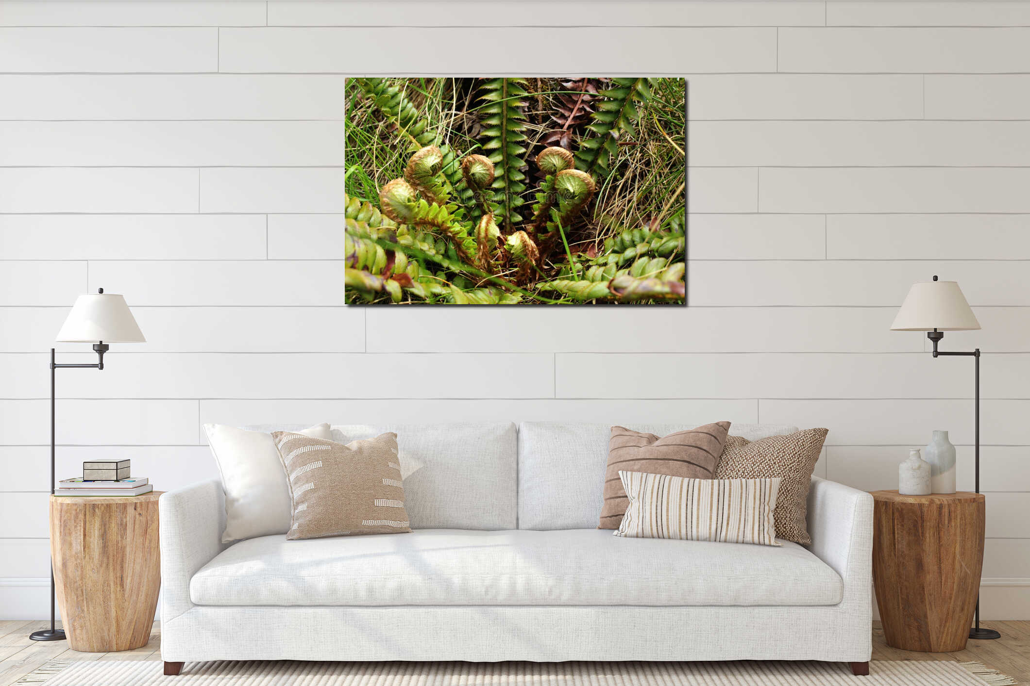 Curled young leaves of fern interior mockup