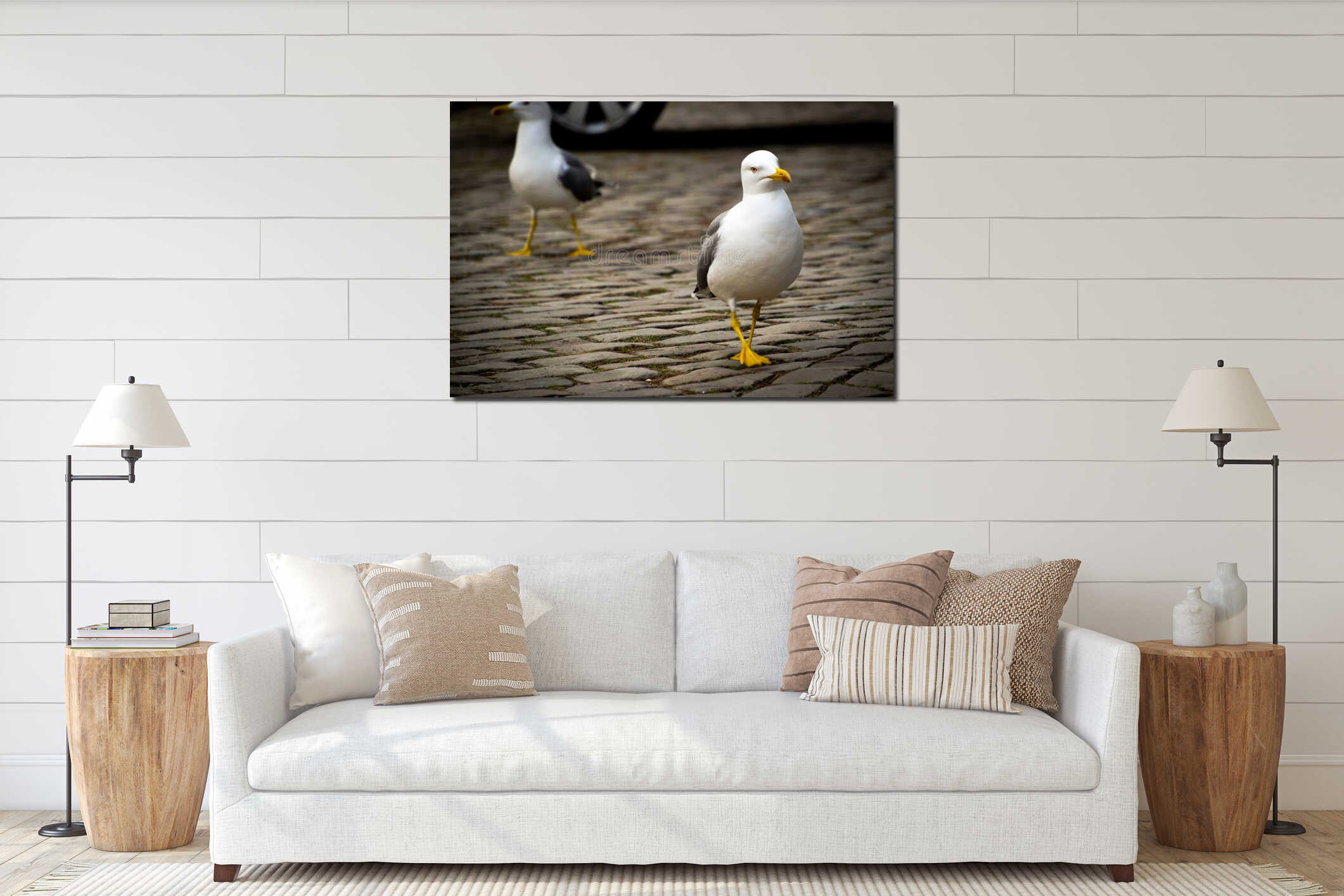Two Seagulls walking in the city streets interior mockup