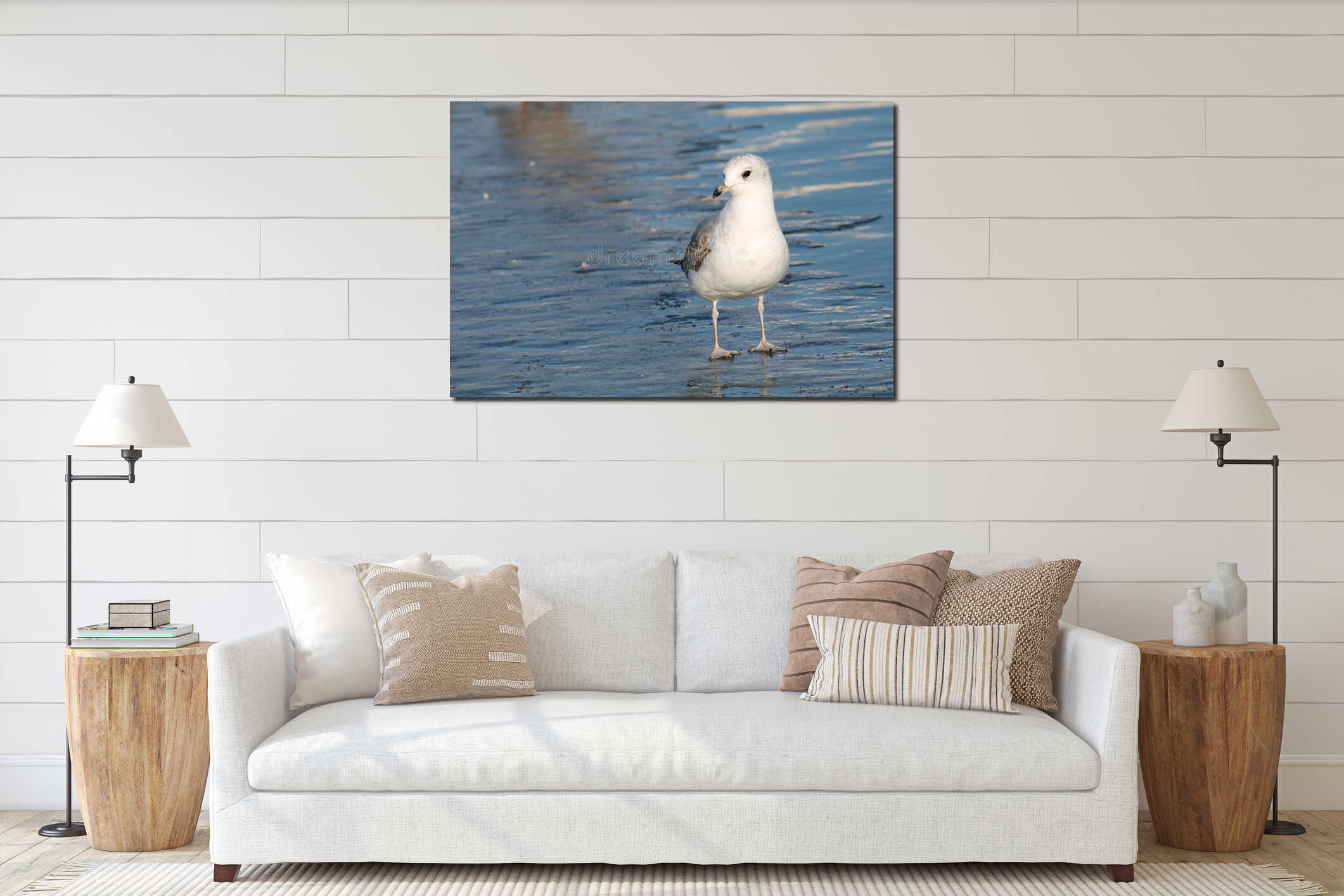 Adult Common gull Larus canus in first winter plumage on ice interior mockup