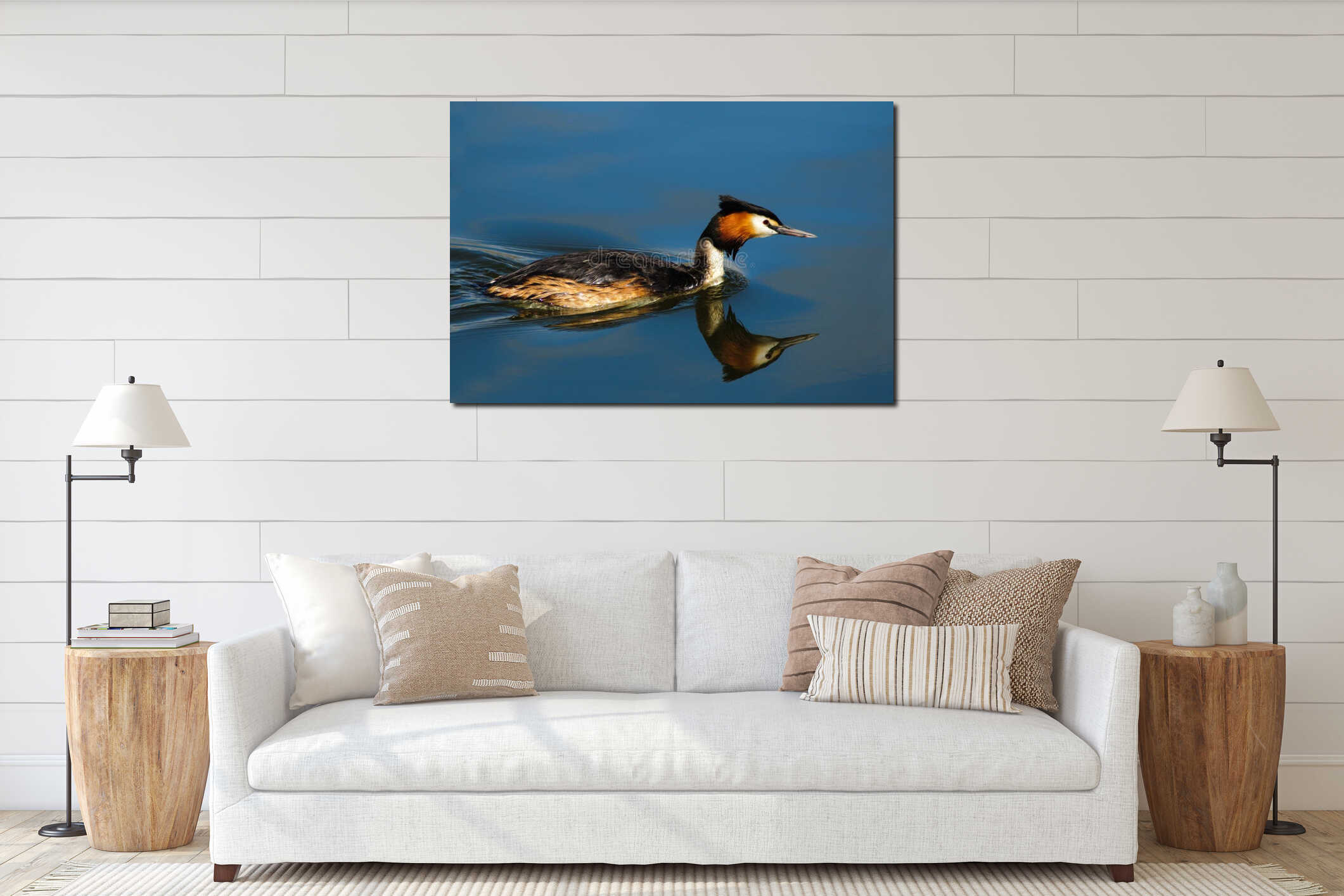 Great Crested Grebe interior mockup