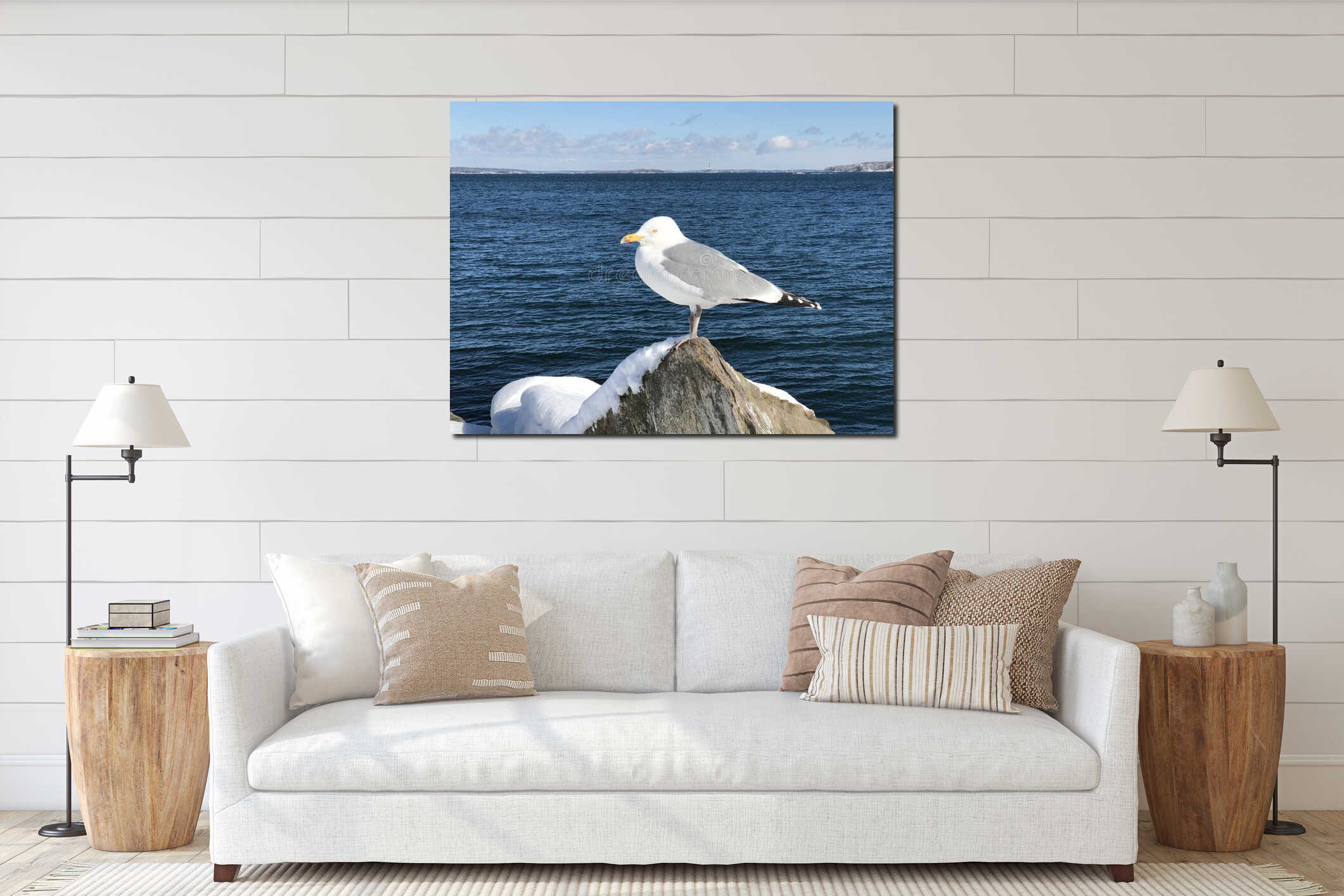 A seagull standing on a snow covered rock interior mockup
